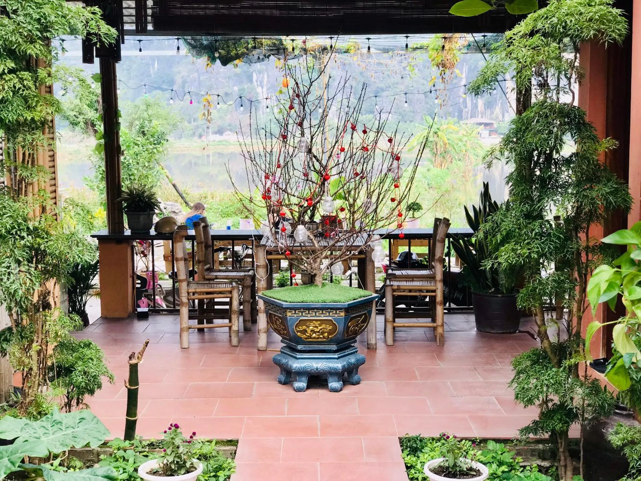 Tam Coc Mountain View Homestay