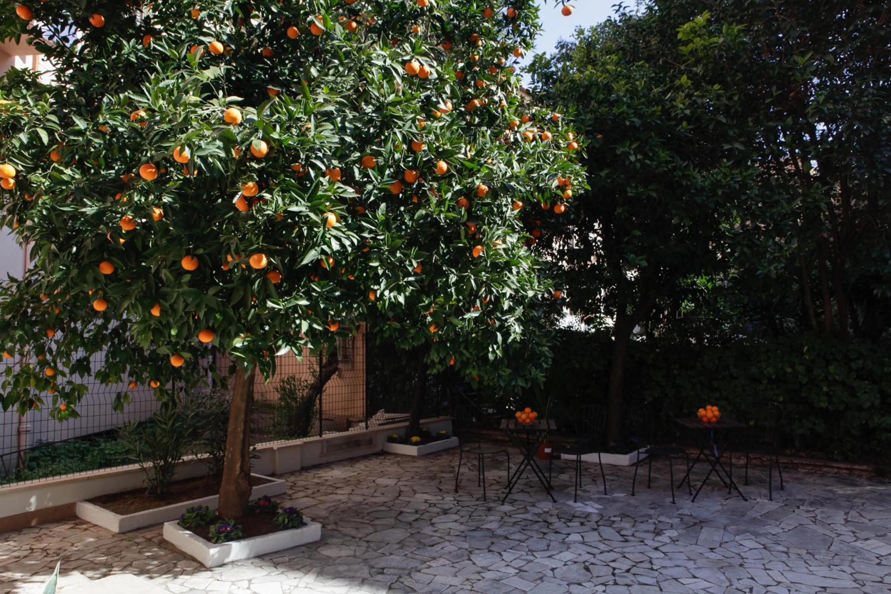 Garden in Hotel Pisa