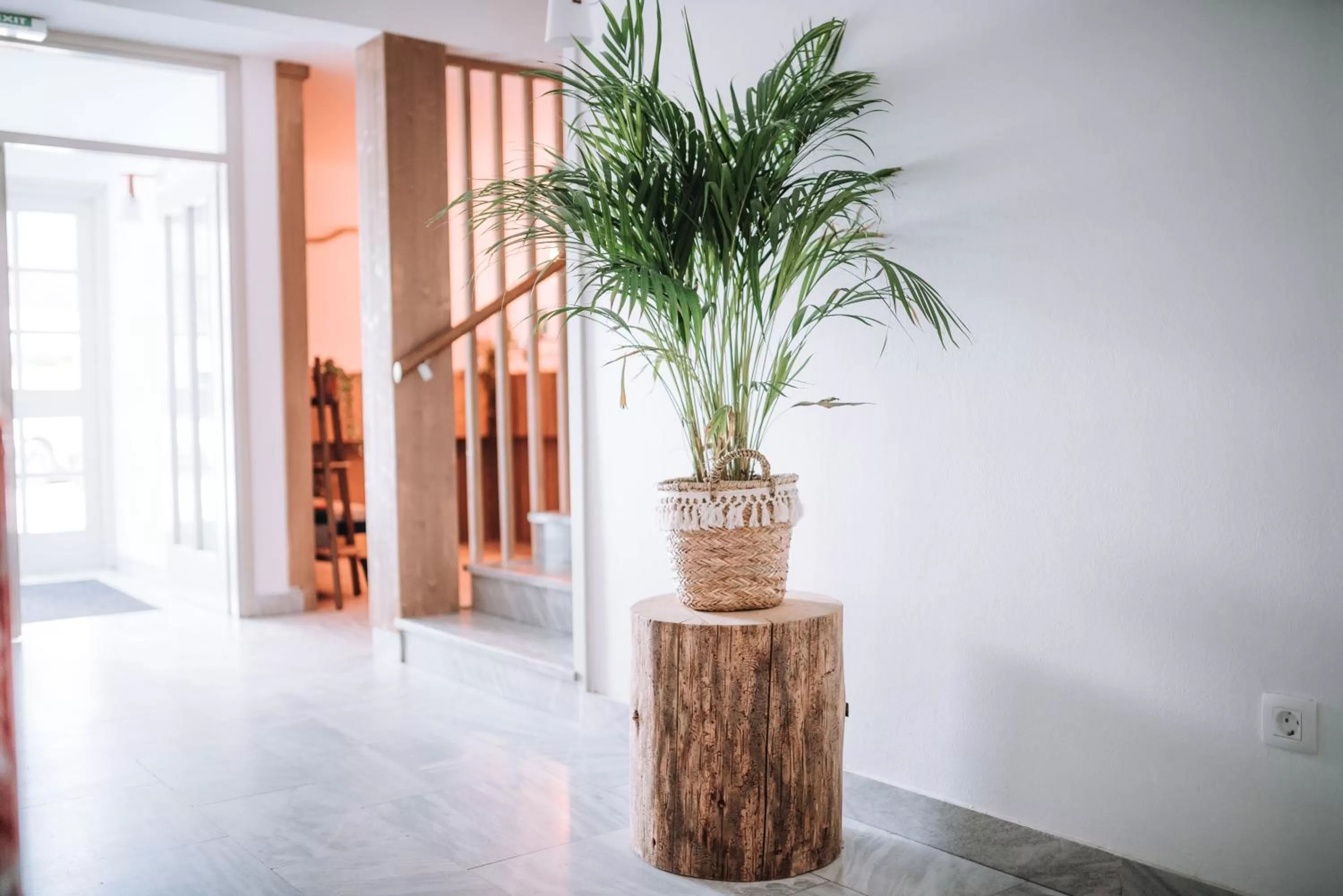 Property building in Apartmaji Triglav