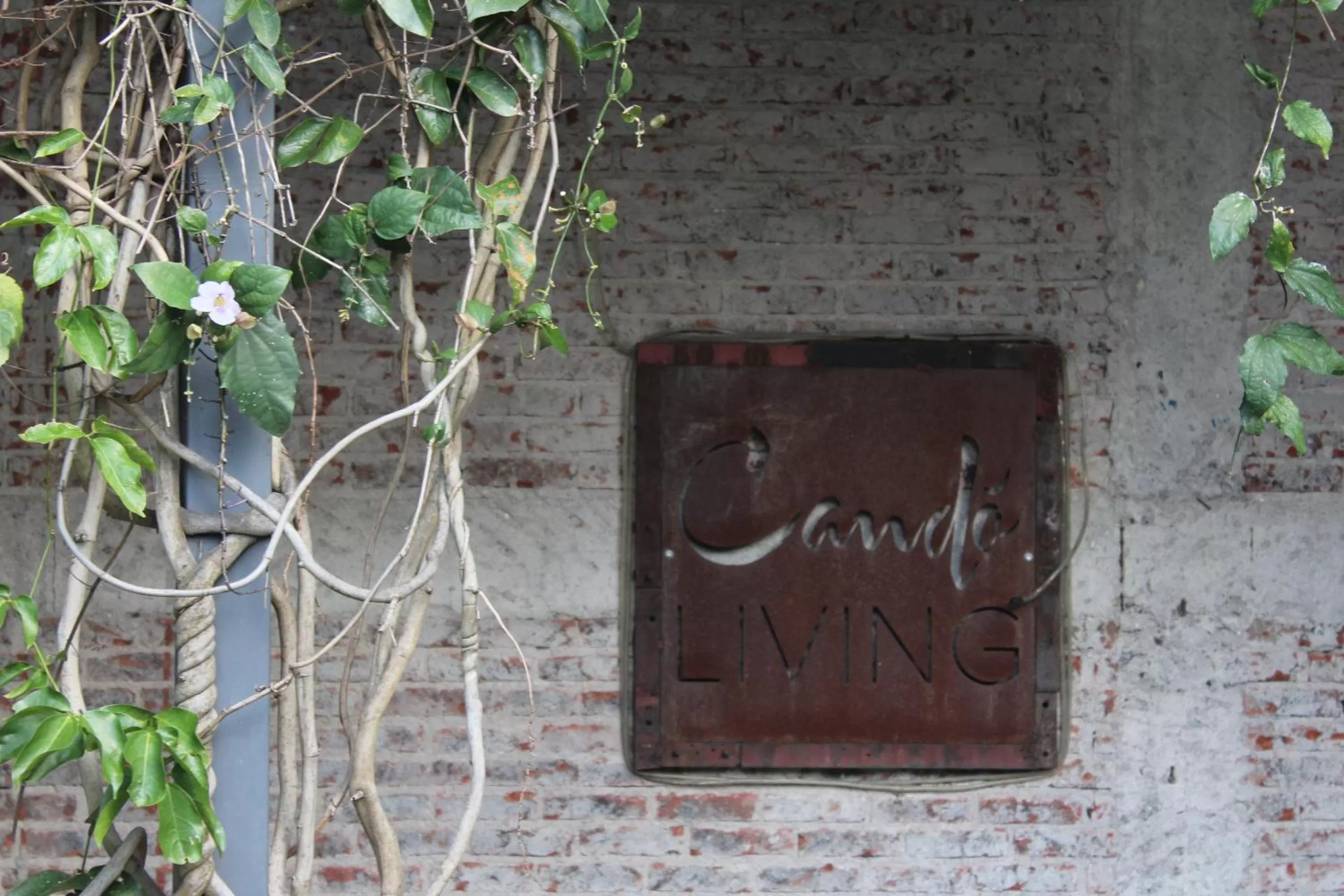 Property Logo/Sign in Cando Living Apartments in Central Avenue