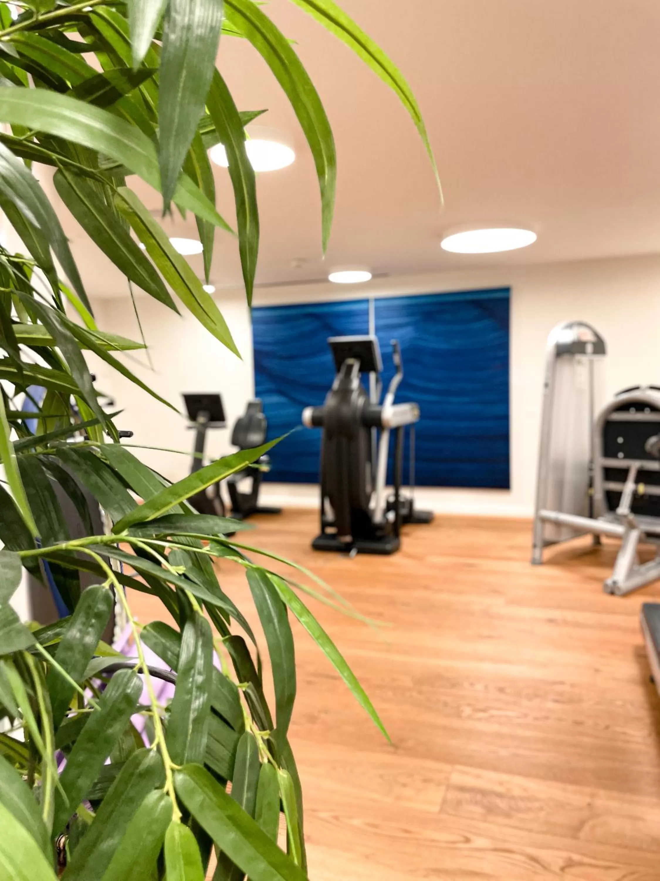 Fitness centre/facilities in Hotel-Restaurant Anne-Sophie