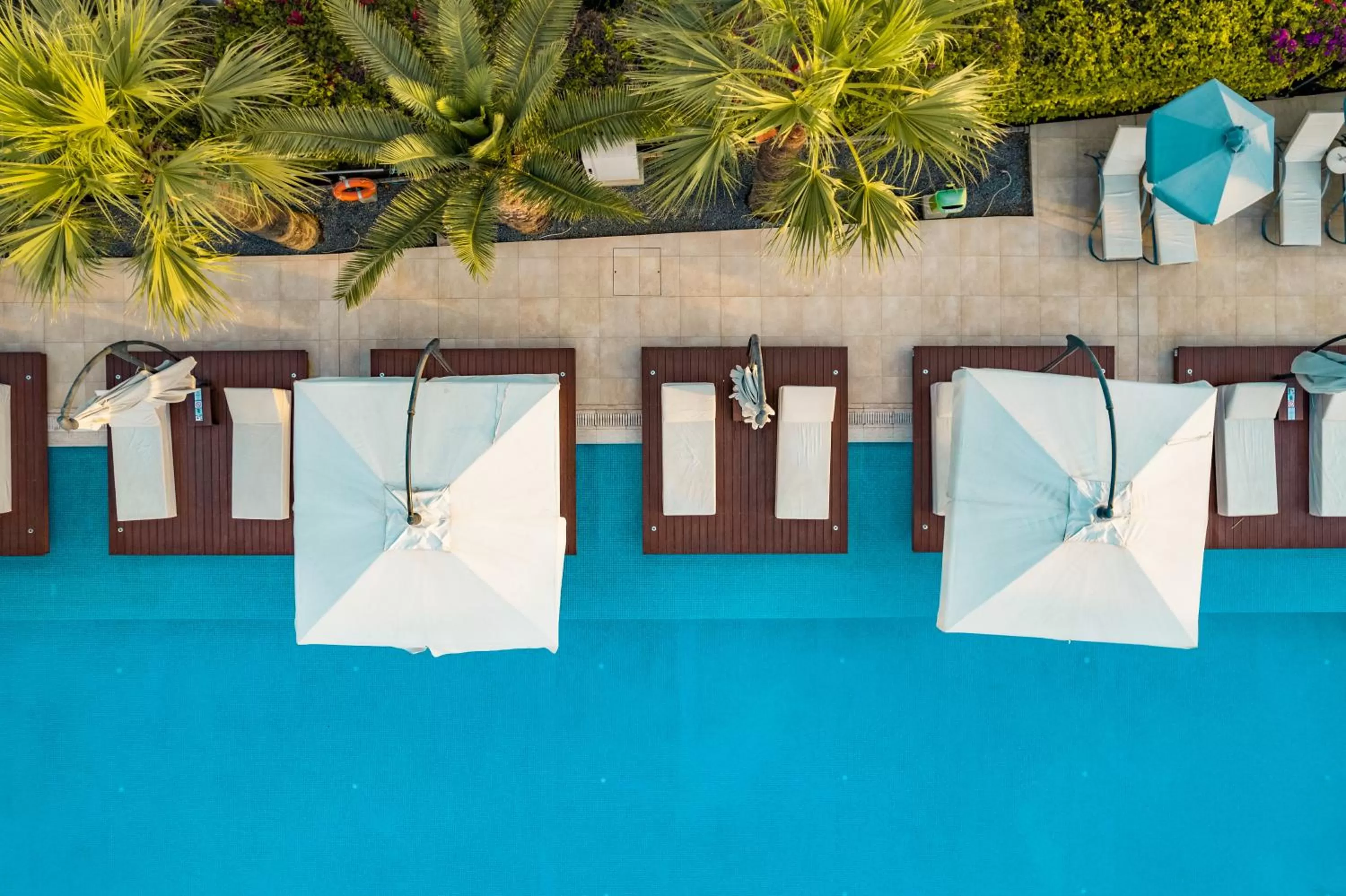 Swimming pool in Nestor Hotel