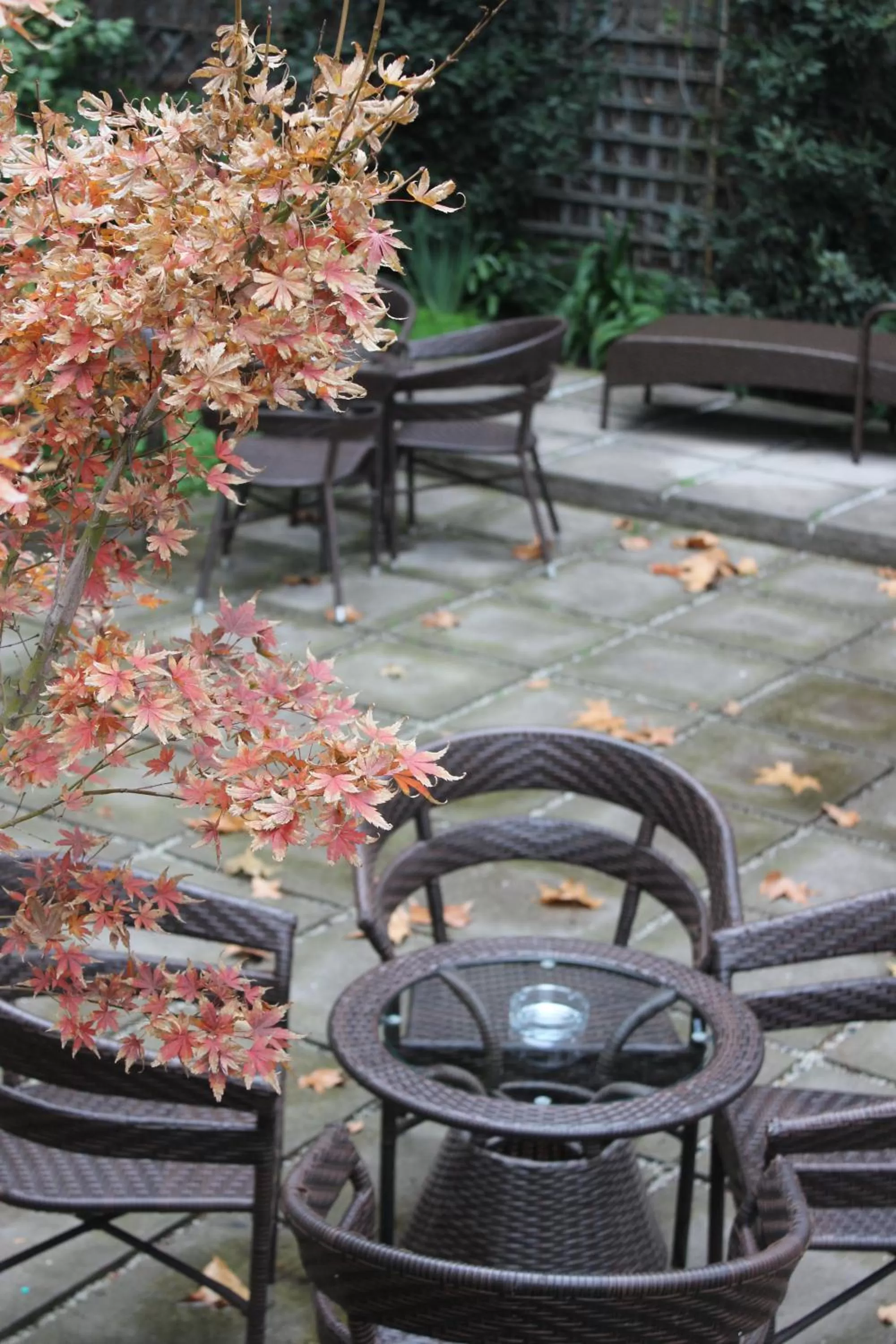 Balcony/Terrace in Matildas Hotel Boutique