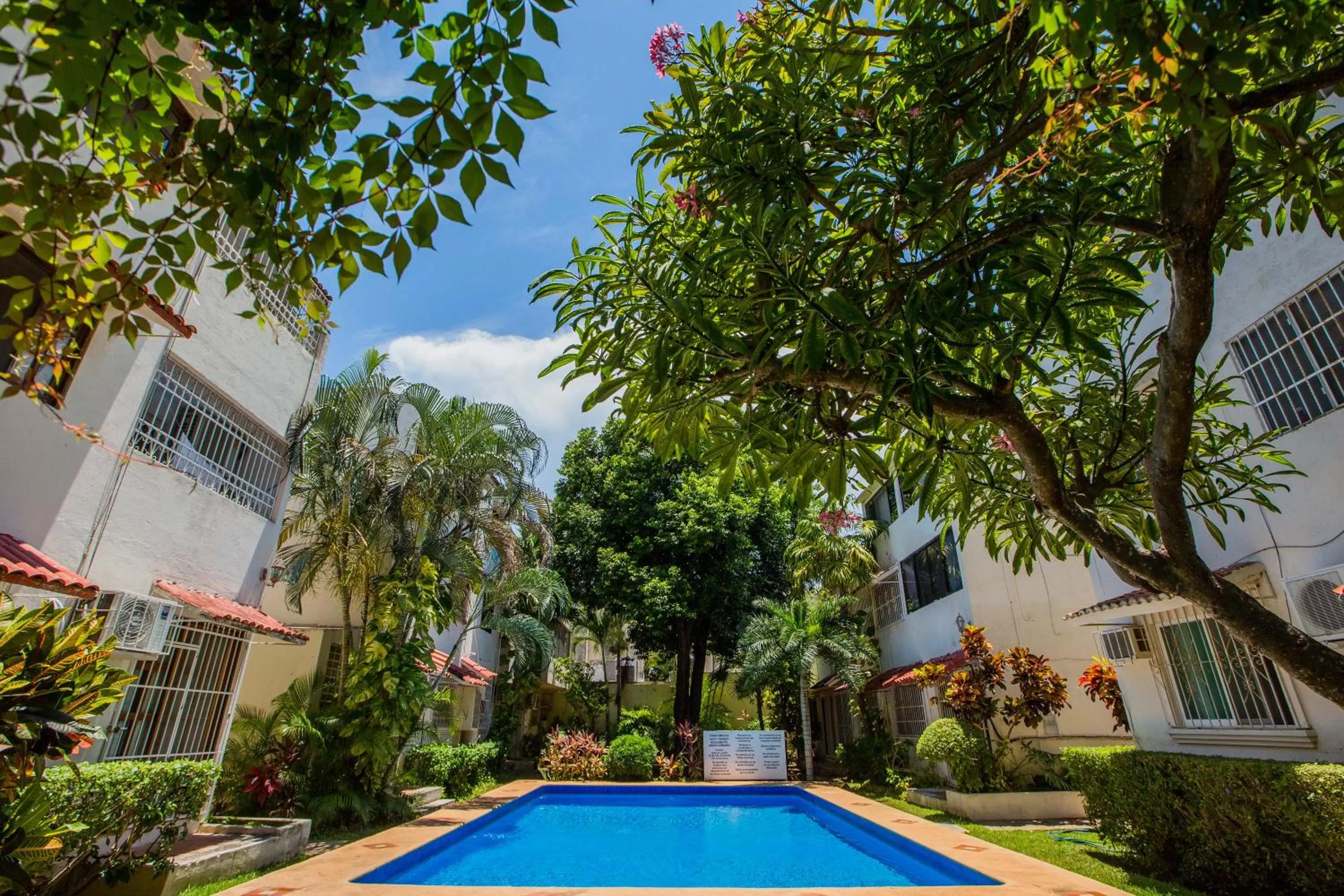 Swimming pool in Casa Blanca Boutique & Organic