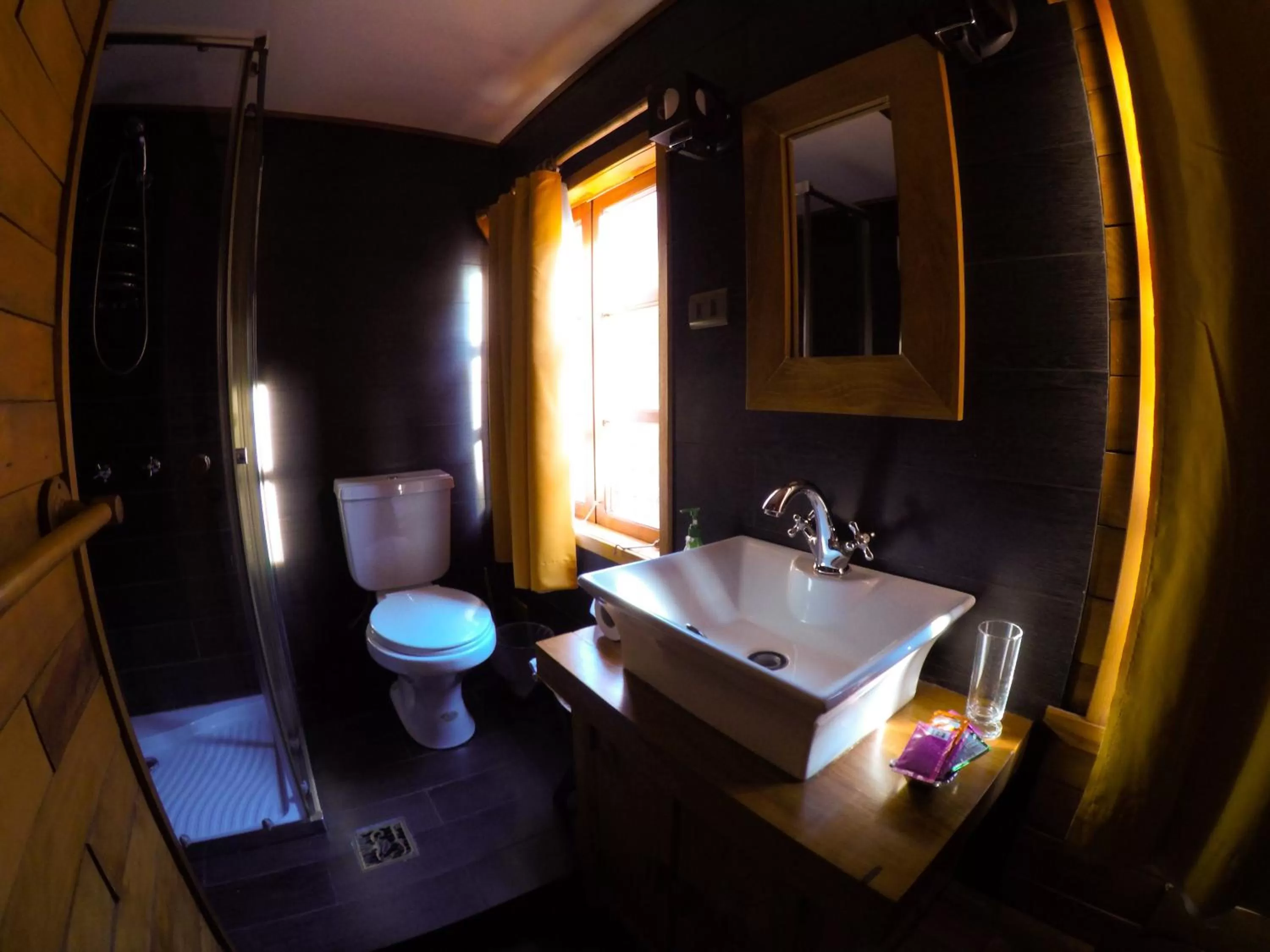Toilet, Bathroom in Hotel Antigua Casona Patagonia