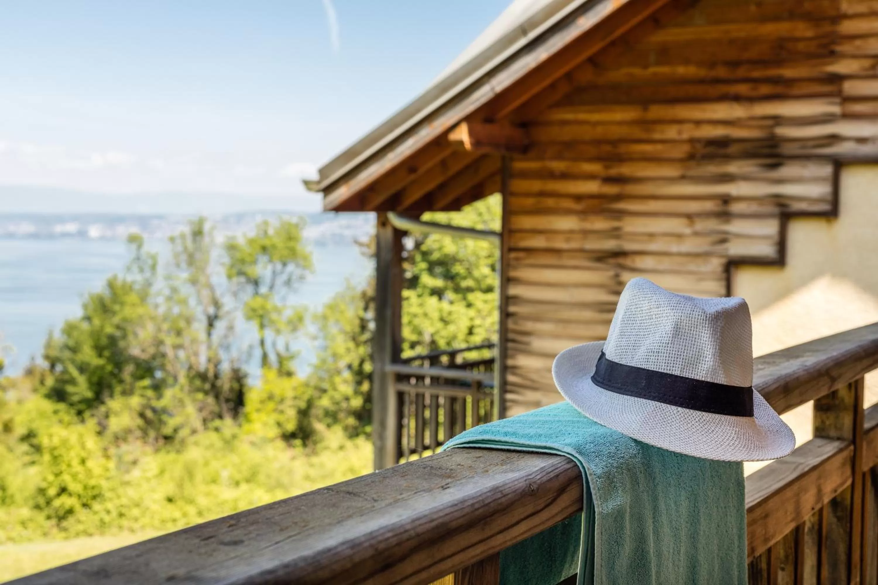 View (from property/room) in Garden & City Evian - Lugrin