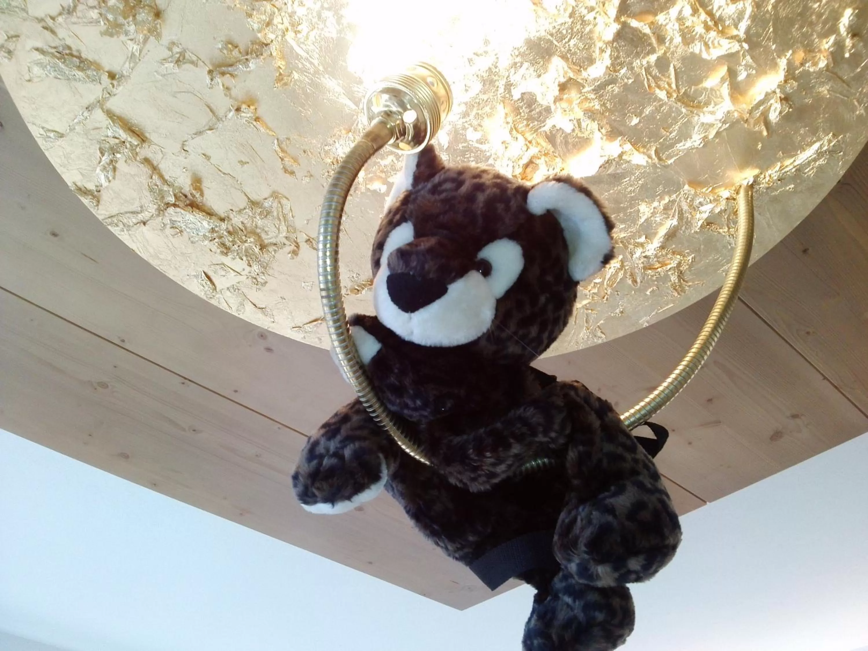 Fitness centre/facilities in Hotel Vergeiner