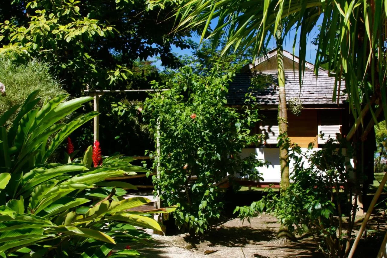 Decorative detail, Garden in Acajou Hotel