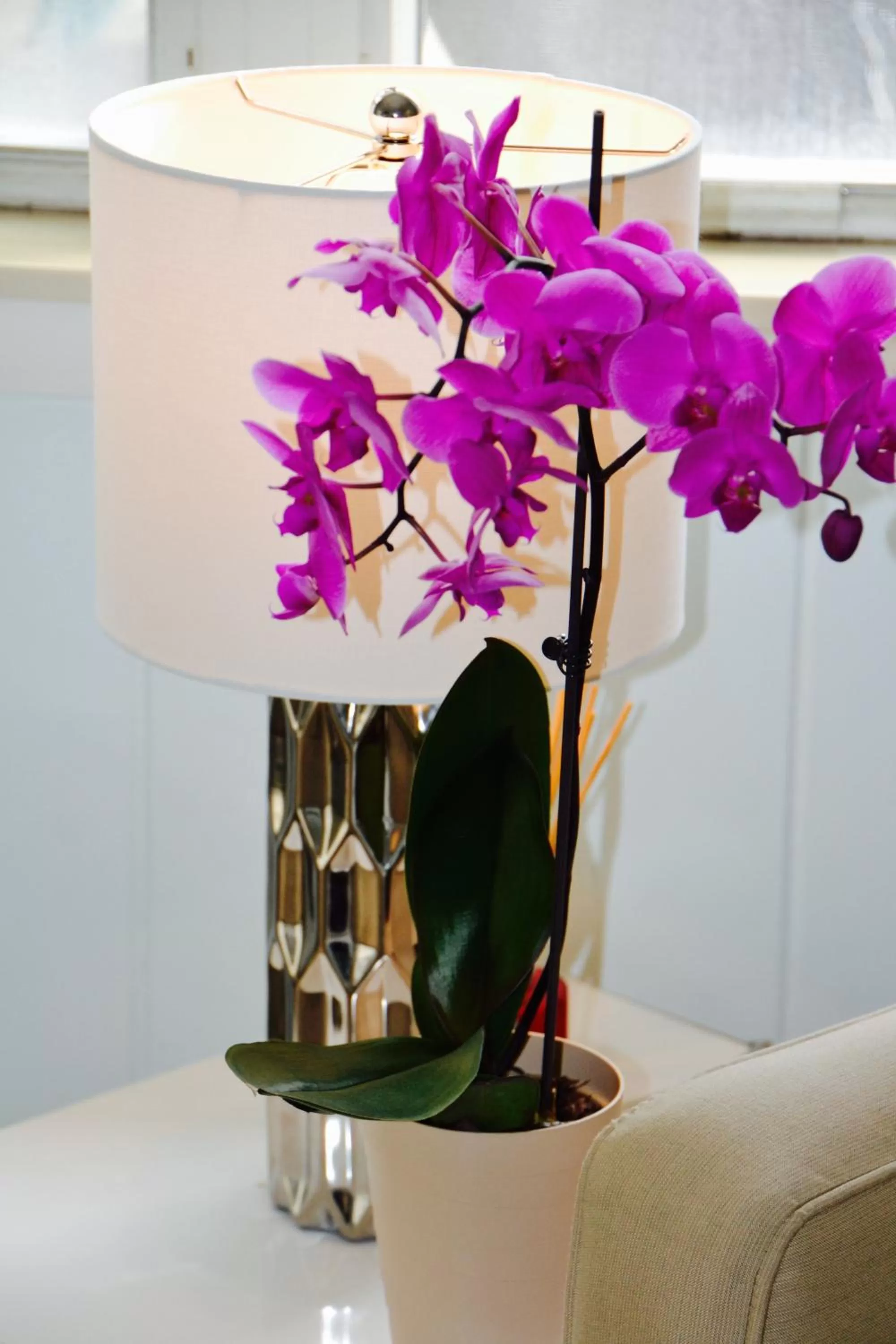 Other in Sea Turtle Inn