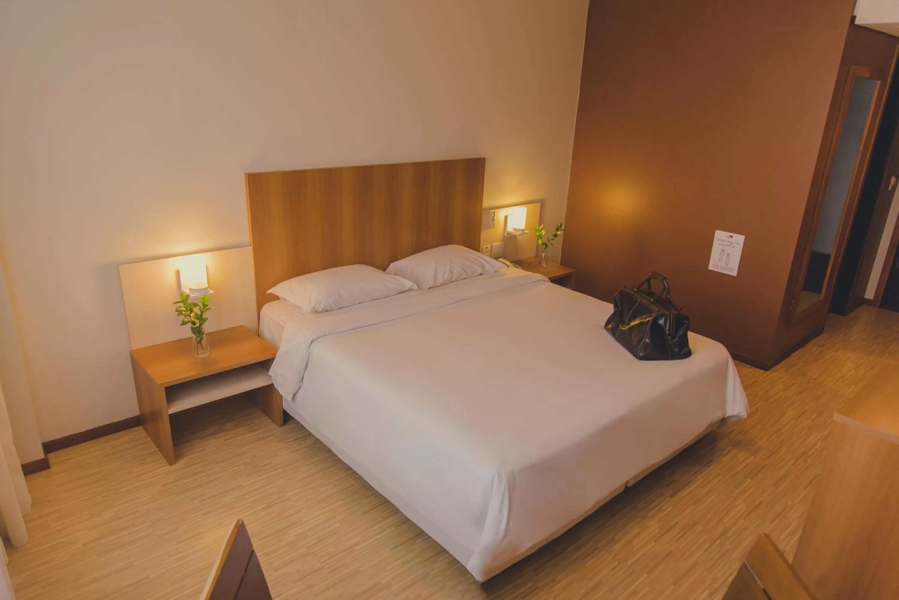 Luxury Double Room with a Double Bed - single occupancy in Swan Novo Hamburgo