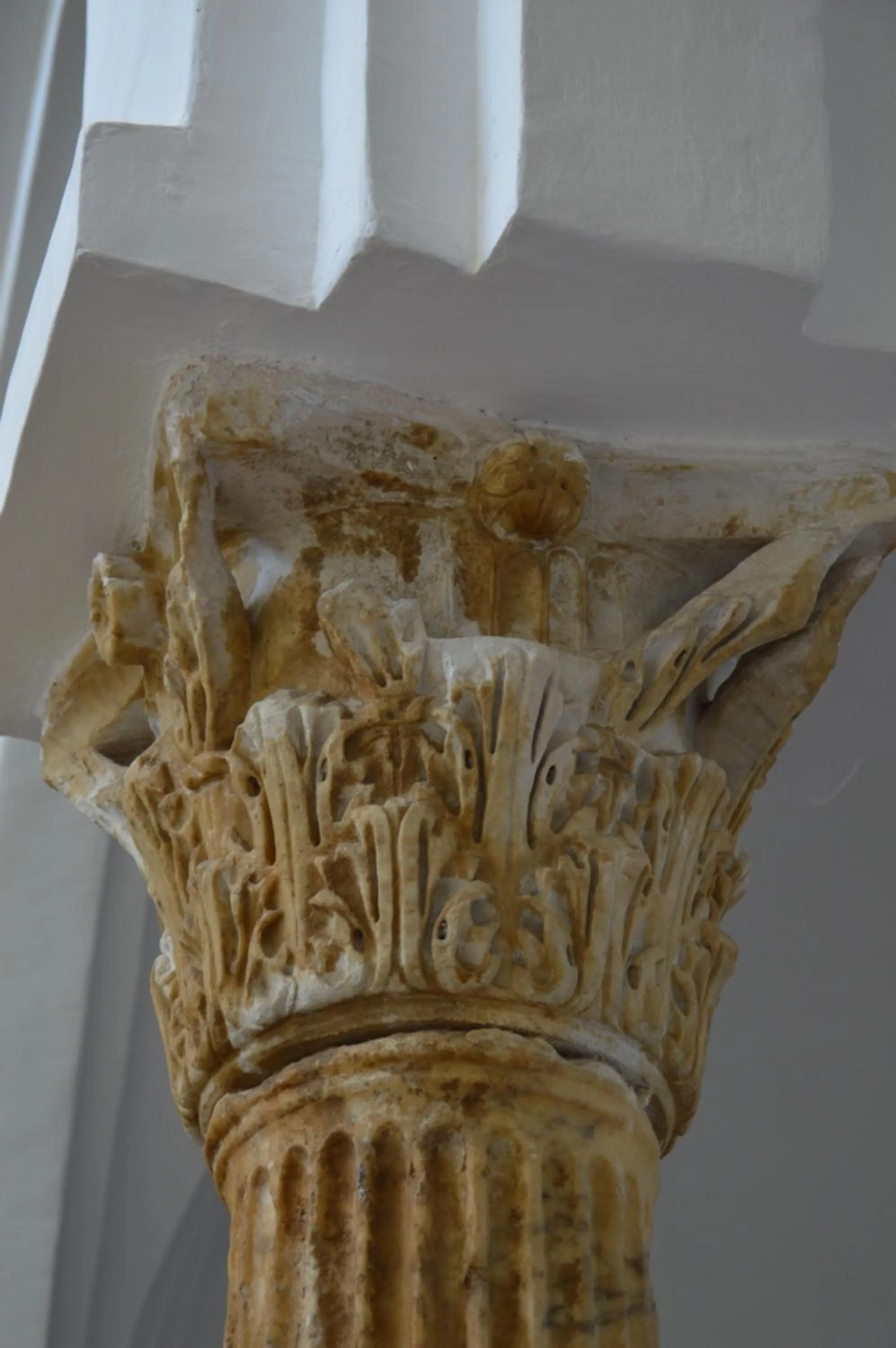 Decorative detail in Palazzo Confalone