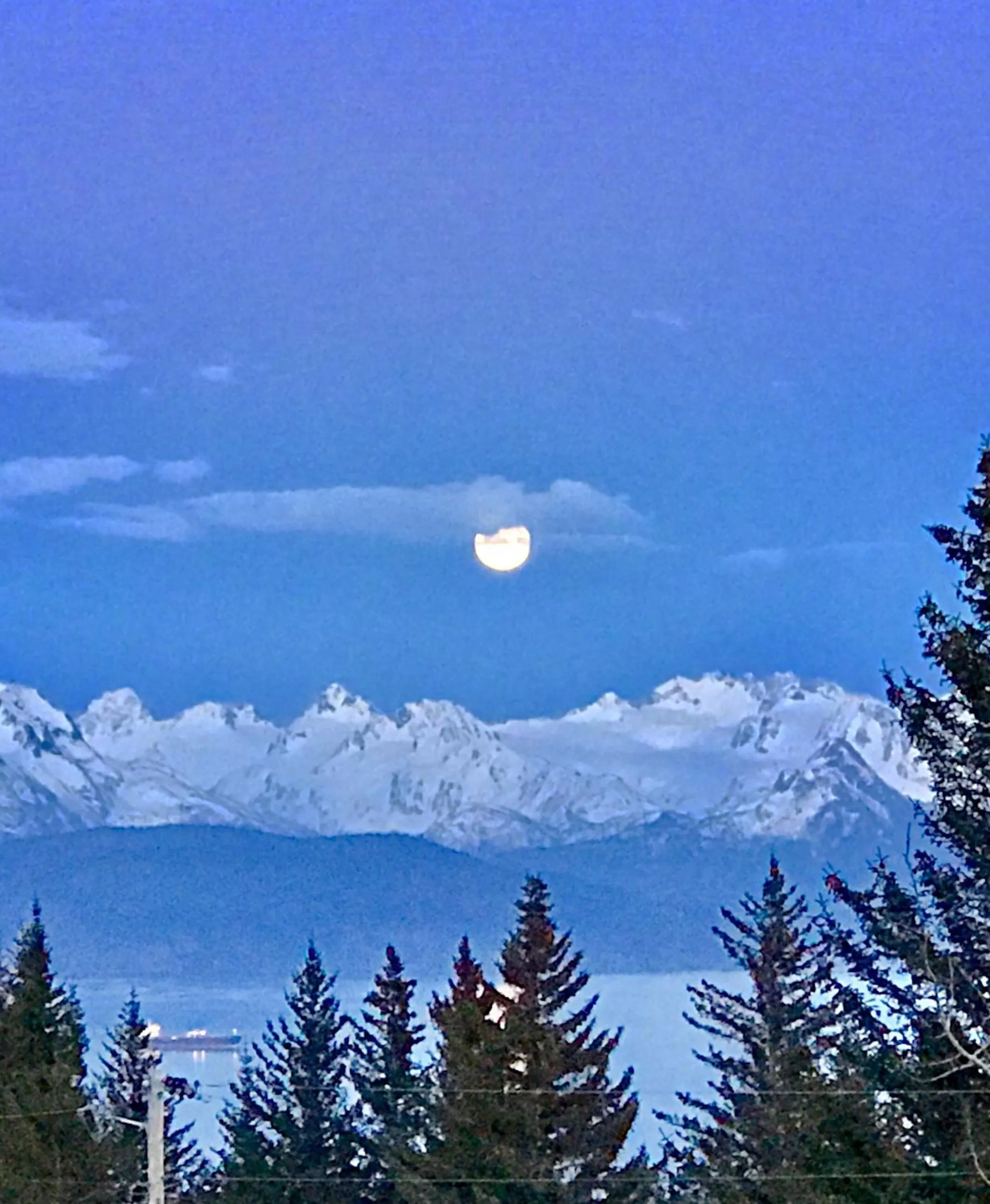 View (from property/room), Winter in Halcyon Heights B&B/Inn