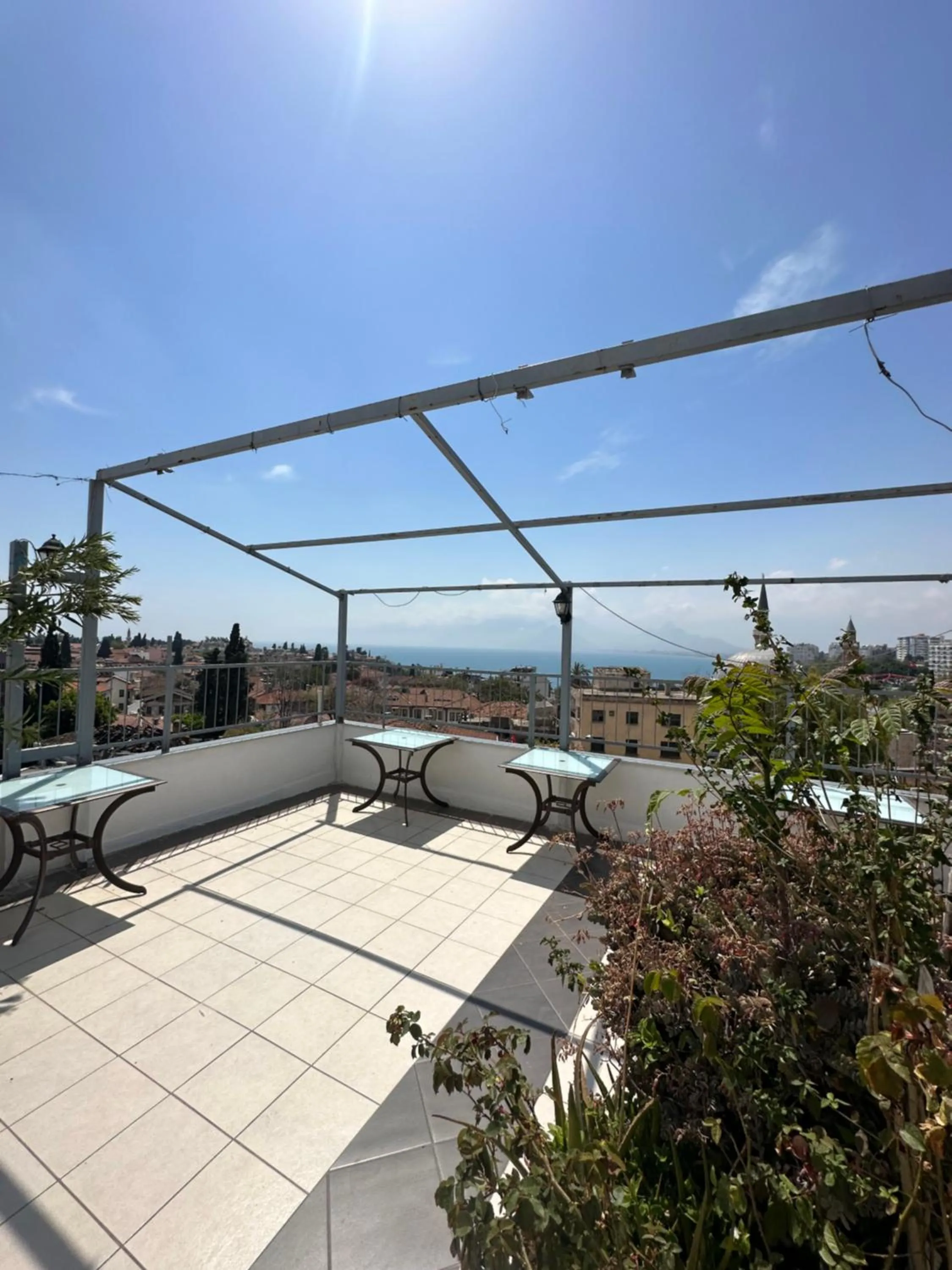 Patio in Hotel Twenty