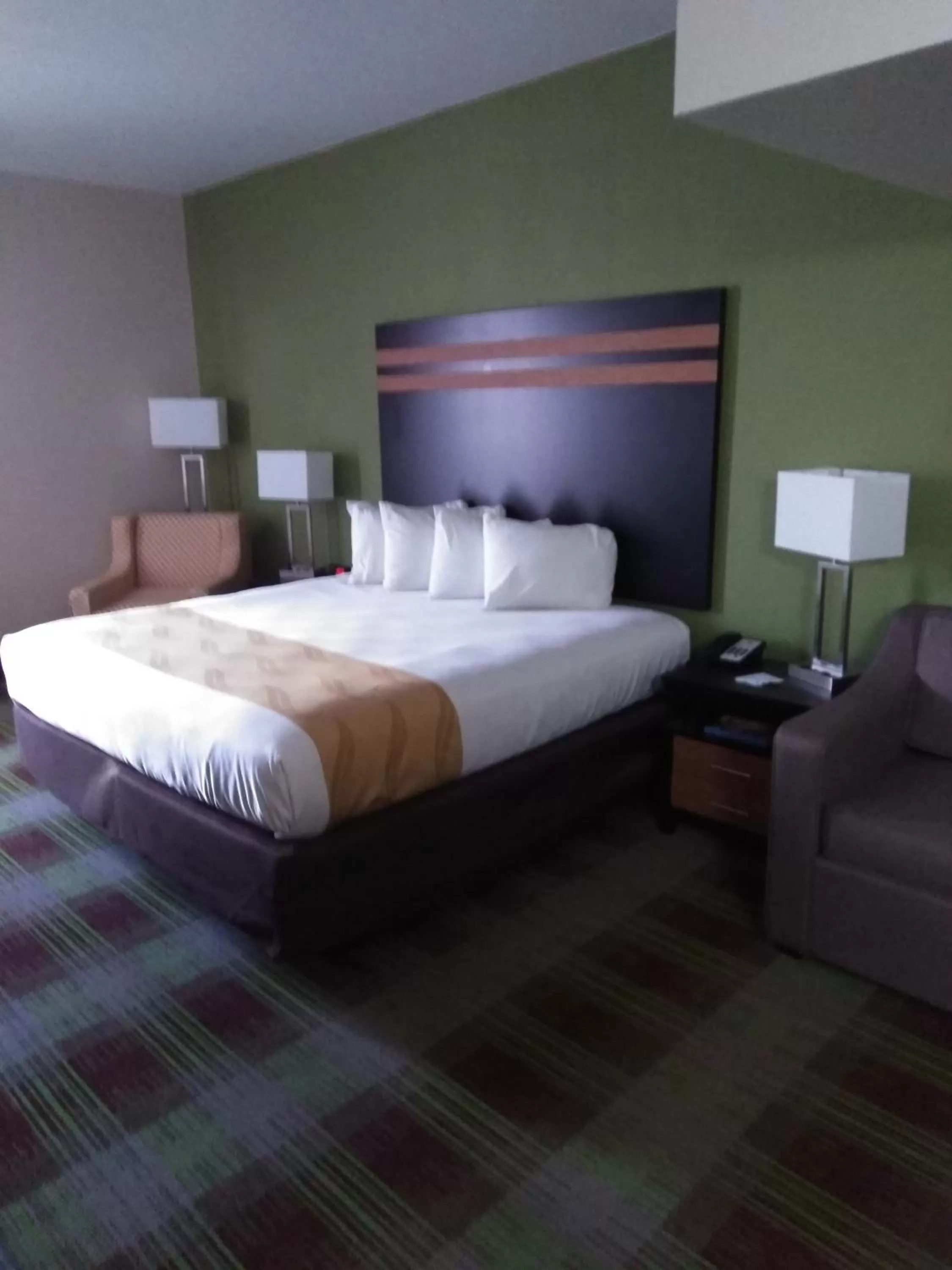 Photo of the whole room, Bed in Quality Inn & Suites Mount Vernon