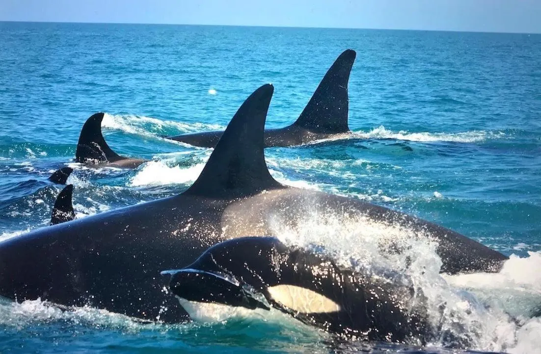 Ningaloo Lodge Exmouth