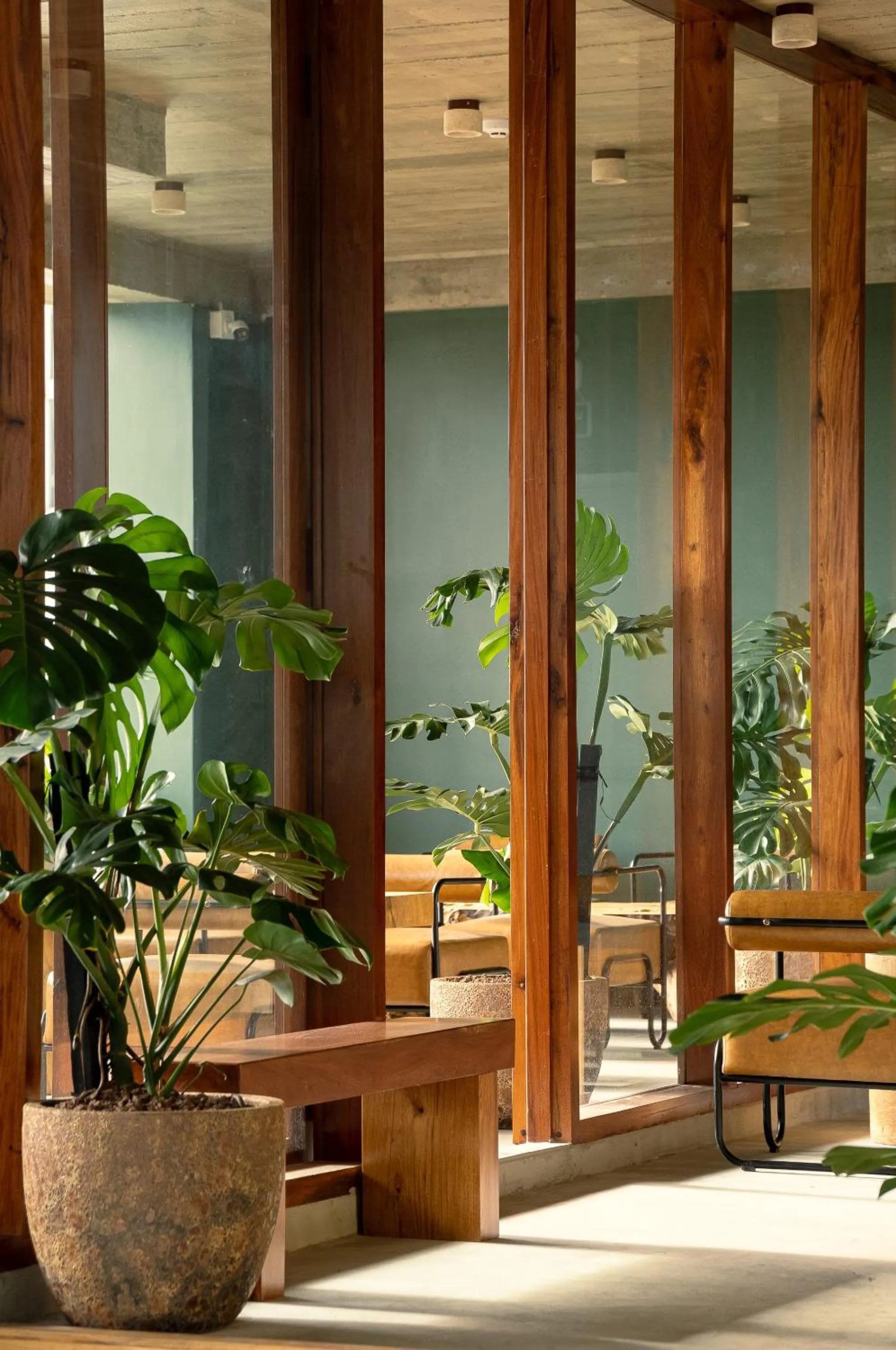 Garden in Pi Boutique Hotel