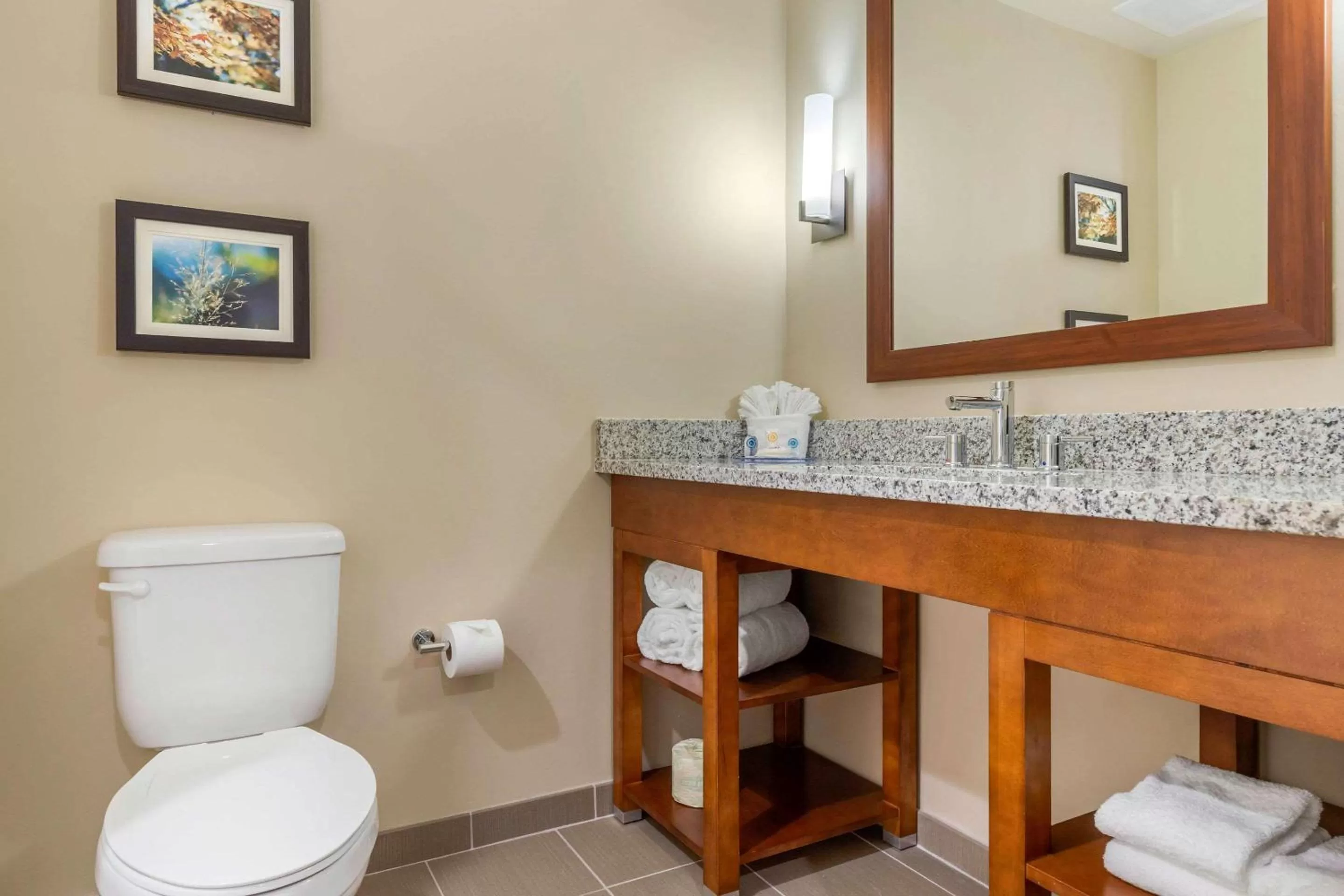 Bathroom in Comfort Inn & Suites Florence Center Area