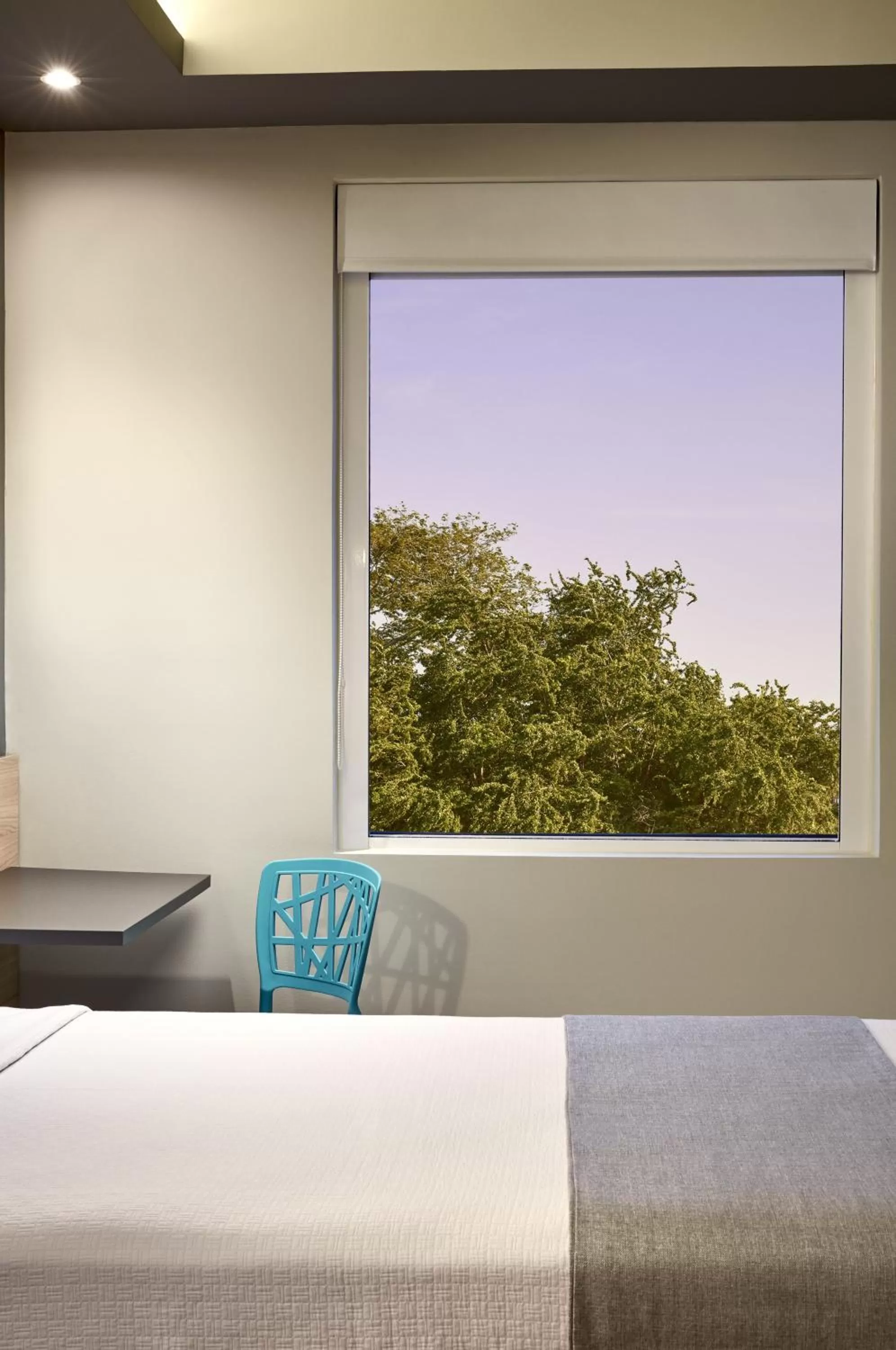 Photo of the whole room, Bed in One Acapulco Diamante