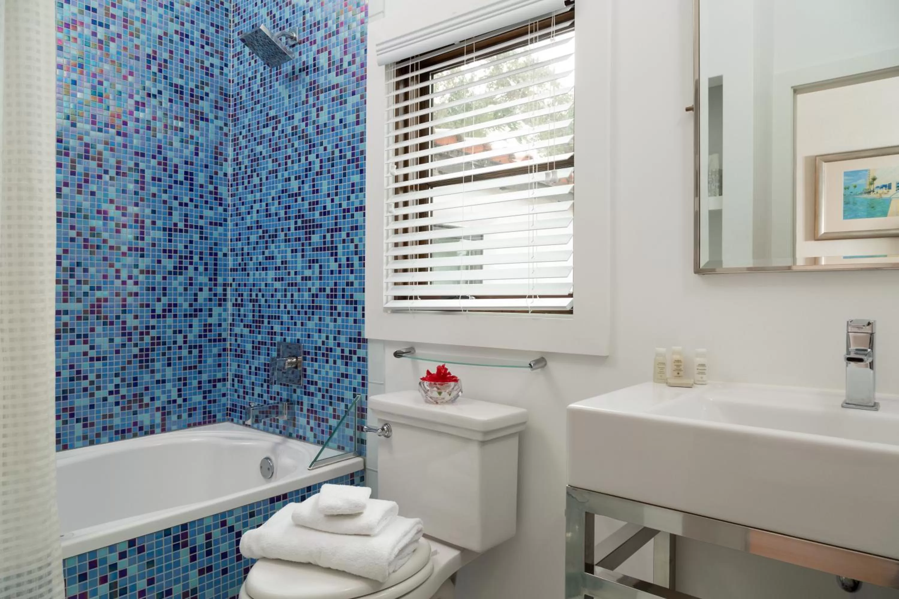 Shower in Black Dolphin Inn