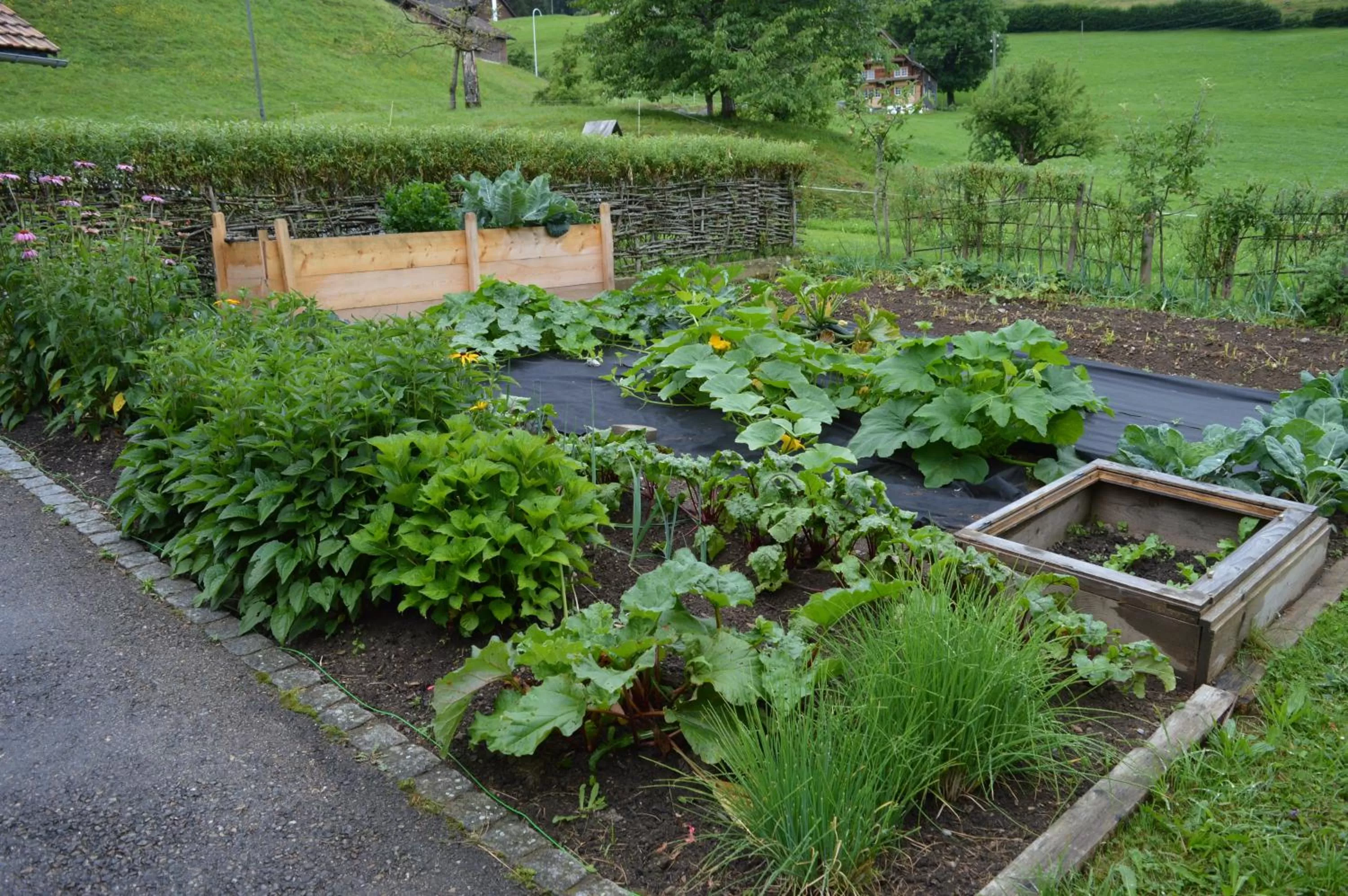 Garden in BnB-Blomberg