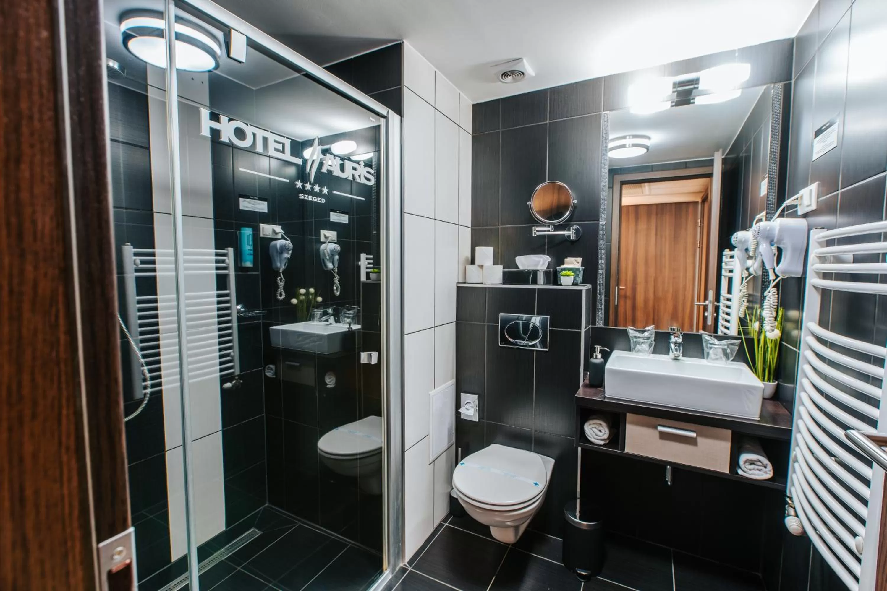 Shower in Hotel Auris