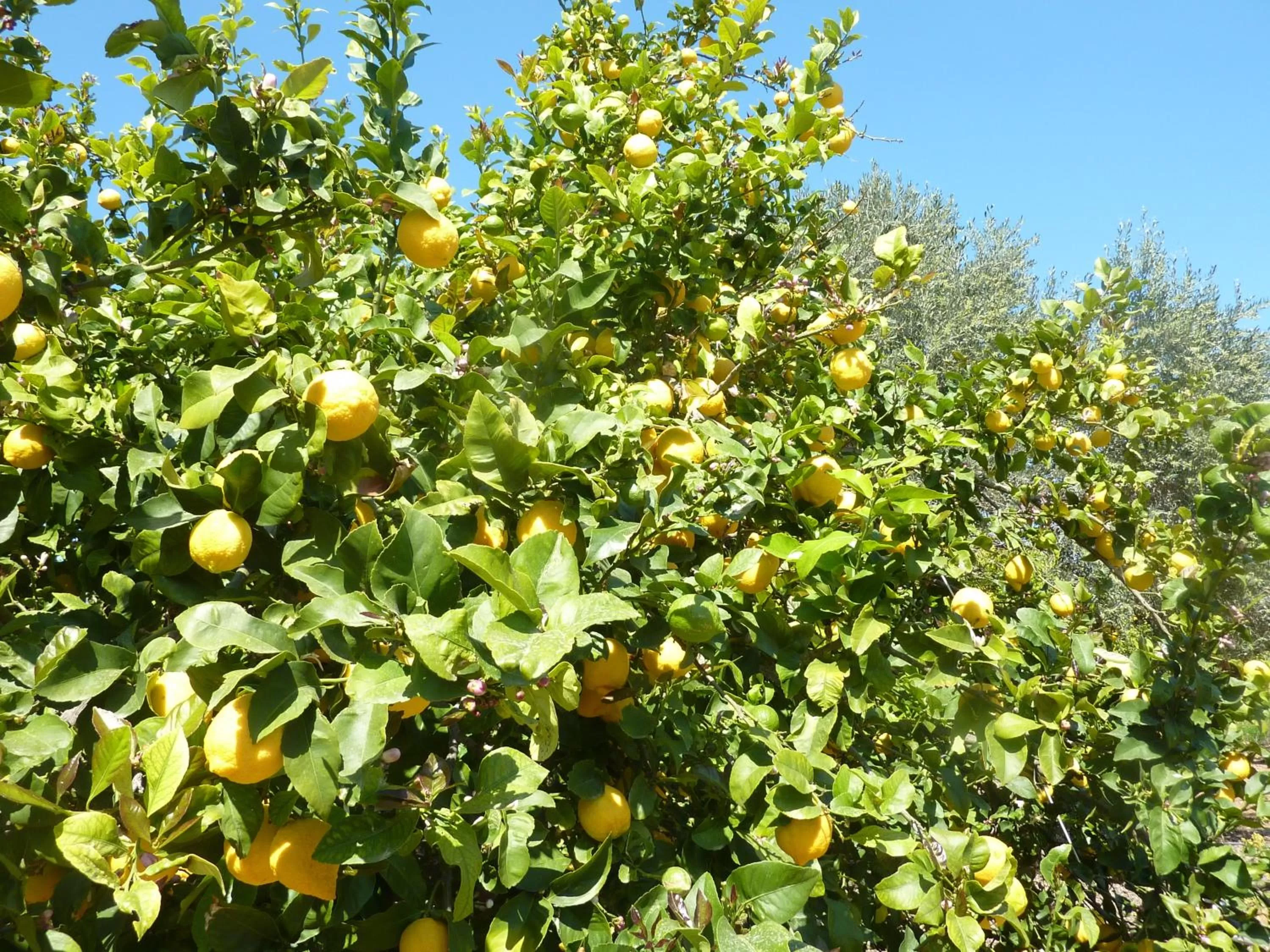 Other in Aphrodite Beach Hotel