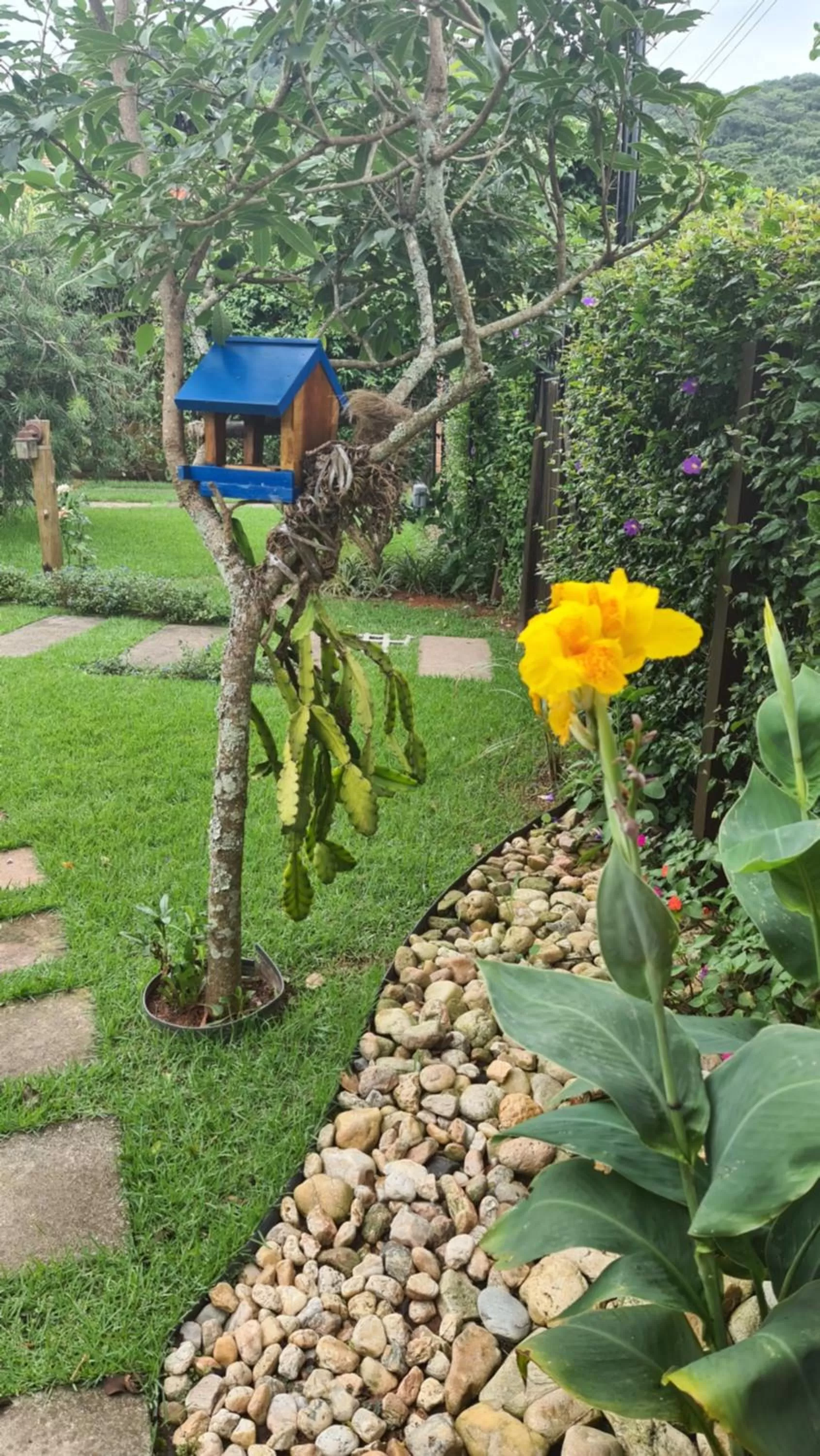 Garden in Pousada Vila Rosada