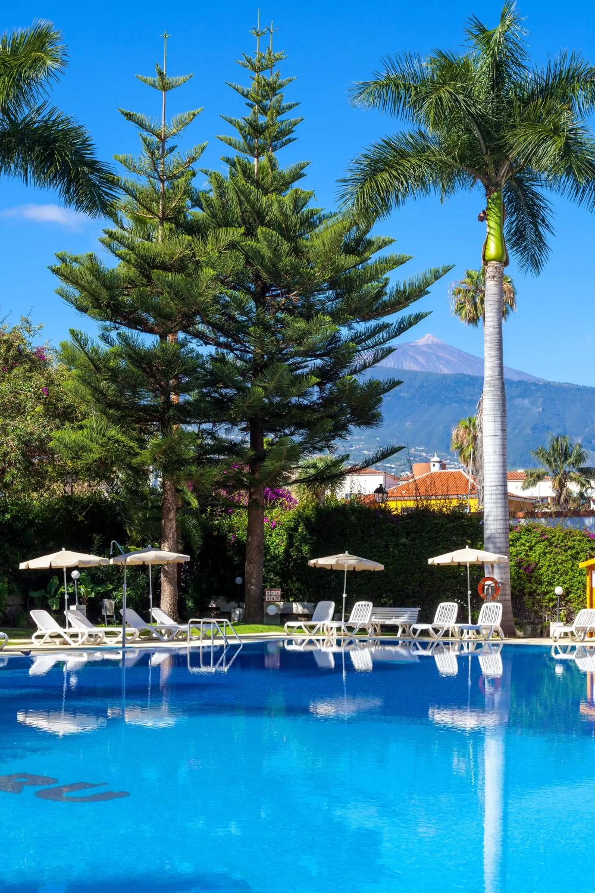 Garden in Apartamentos Masaru