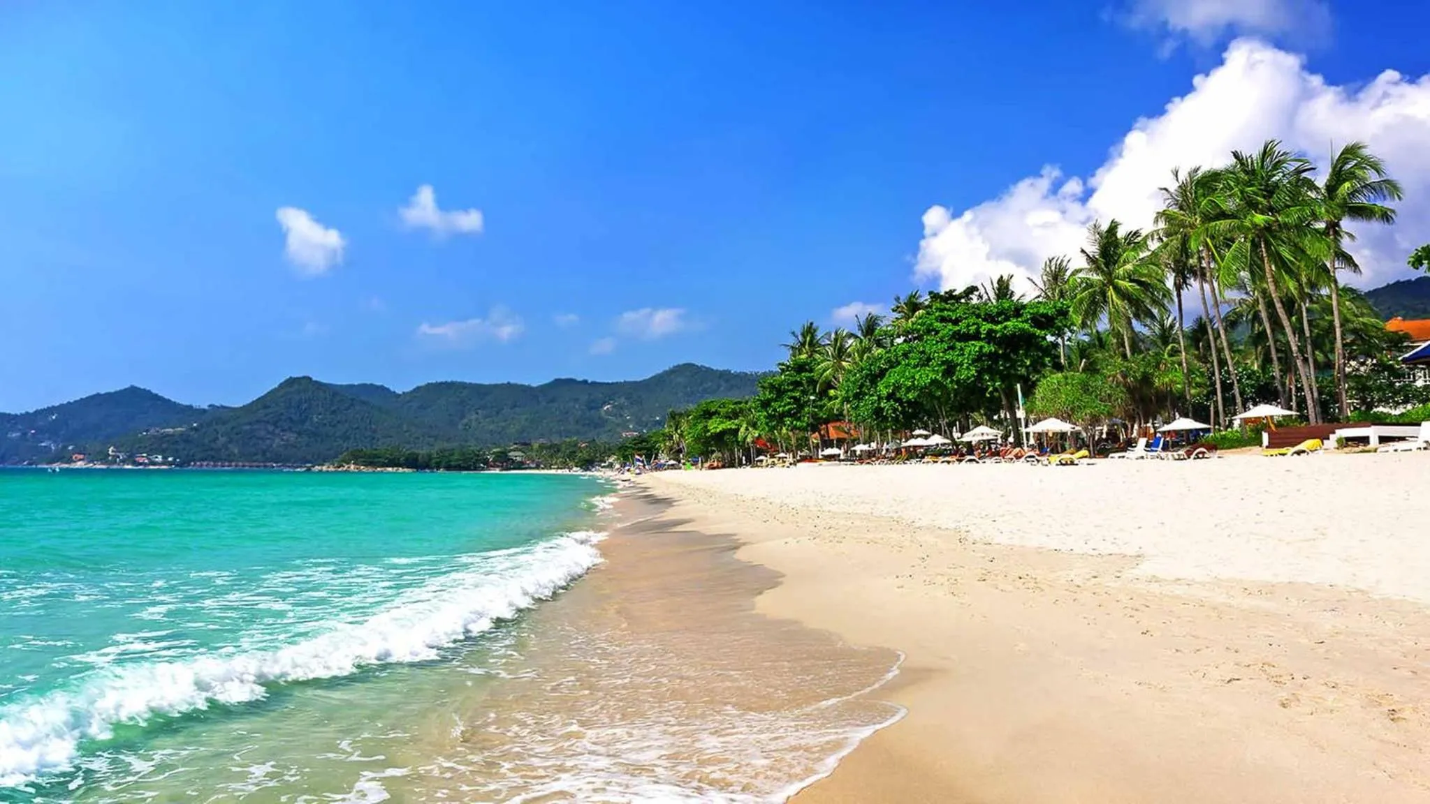 Day in Lotus Friendly Hotel