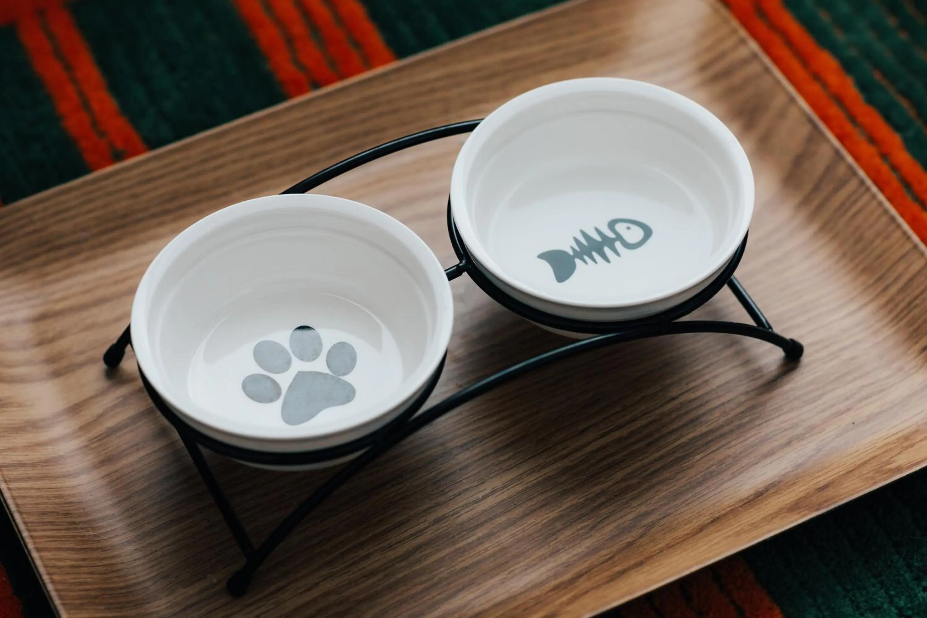 Pets in Moxy Osaka Umeda