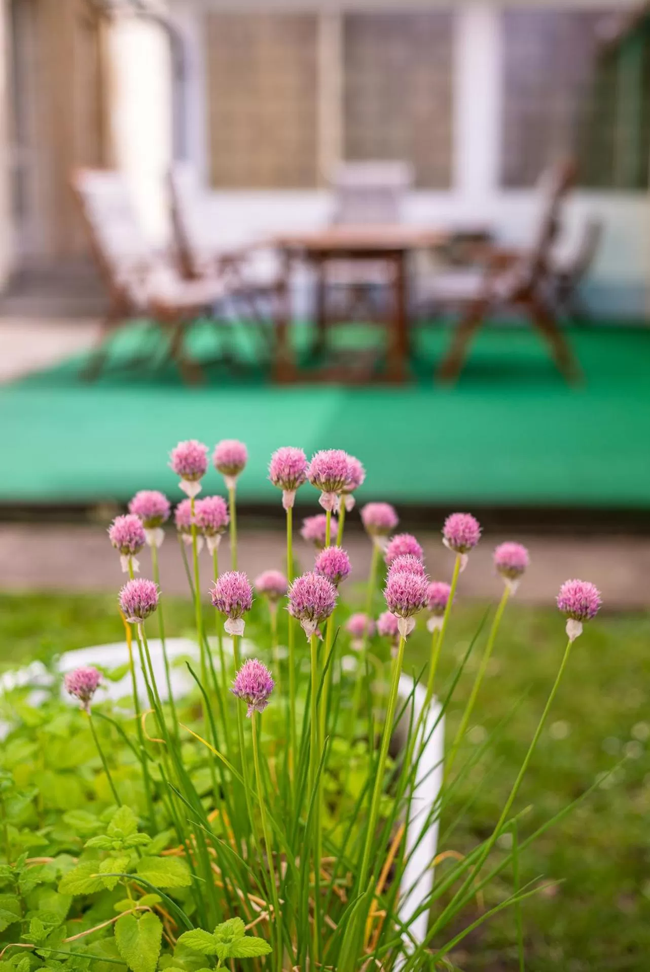 Property building in Nefelejcs Hotel