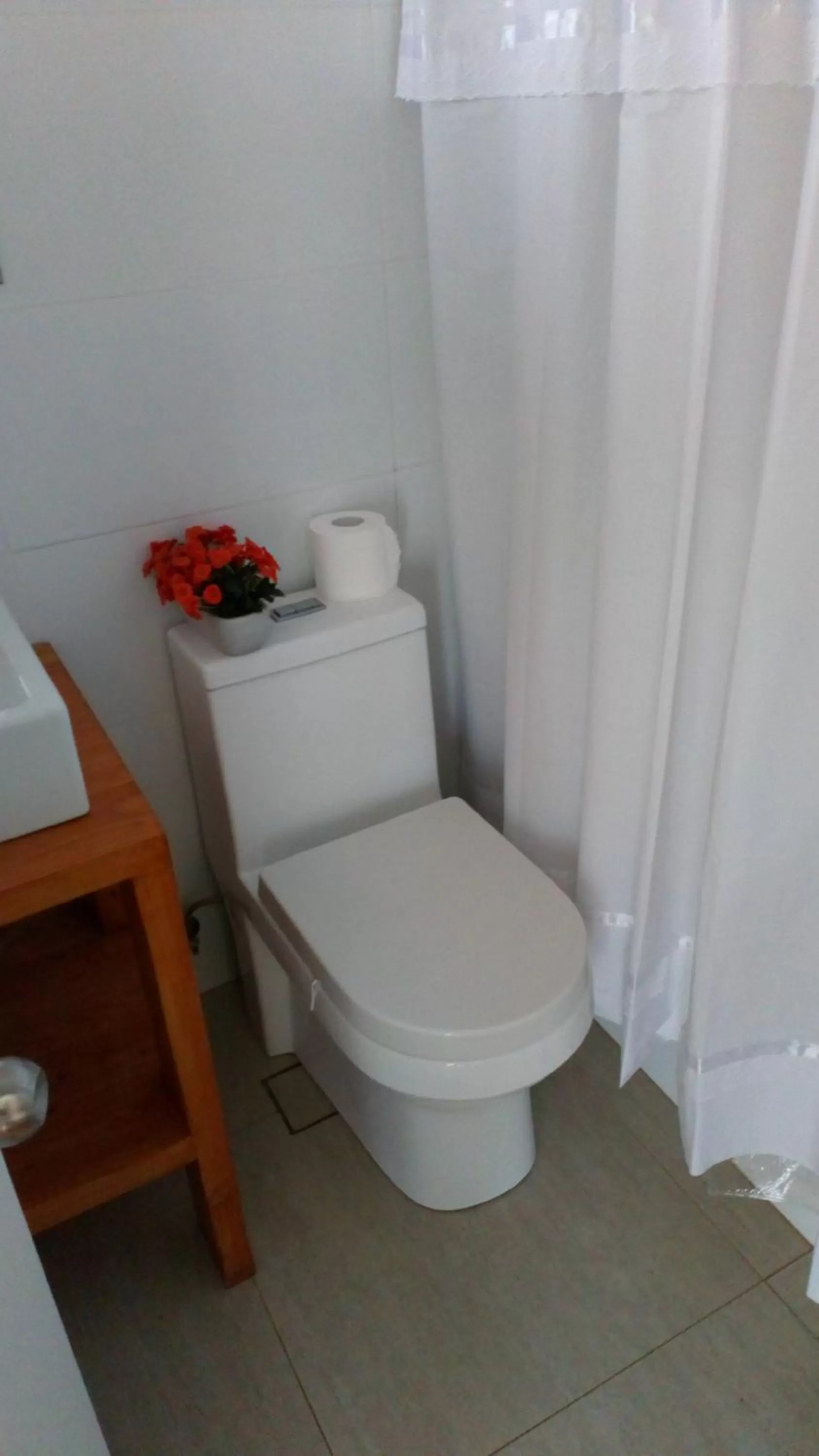 Decorative detail in Hostal Parcela 47 villarrica