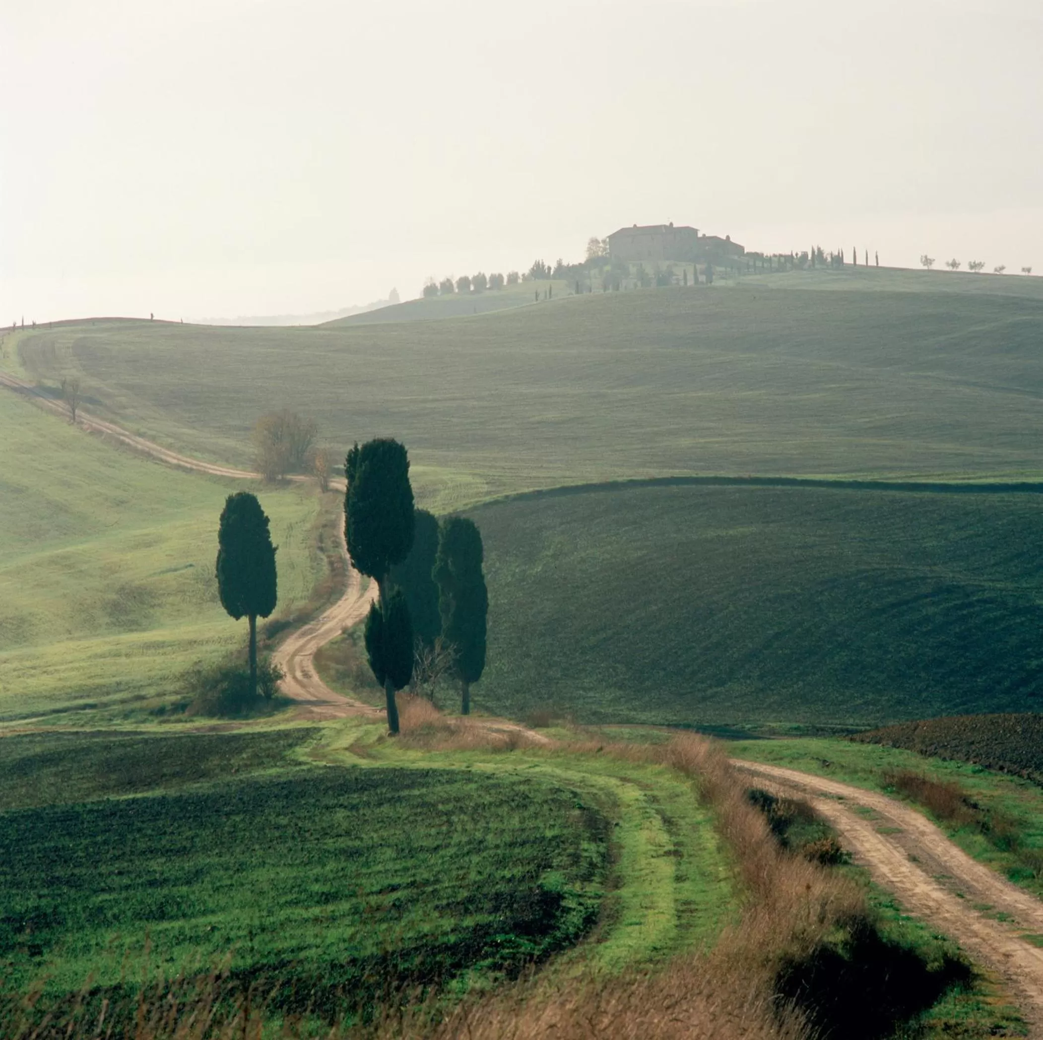 View (from property/room) in Albergo Le Terme