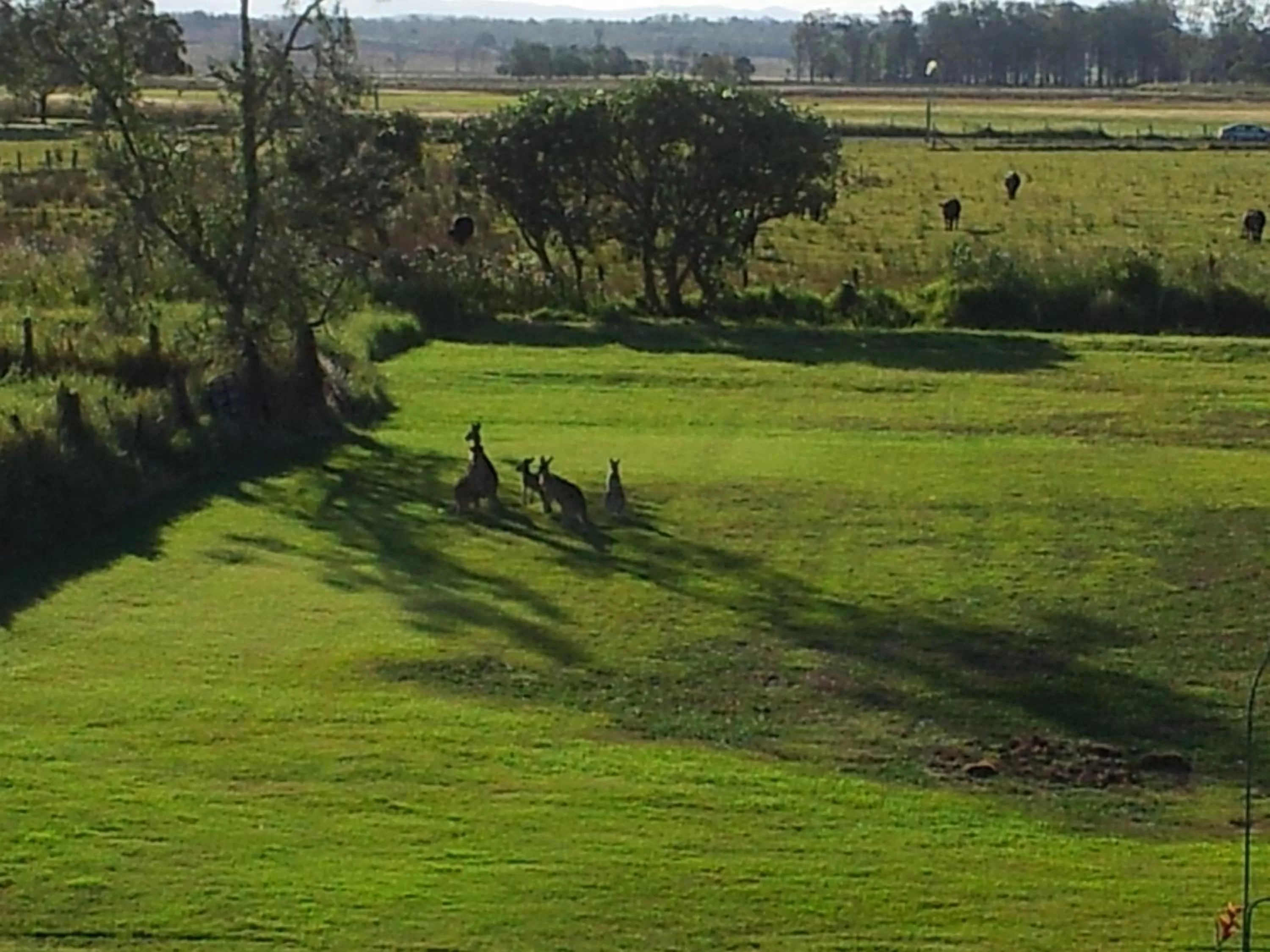 Natural landscape in Andavine House - Bed & Breakfast