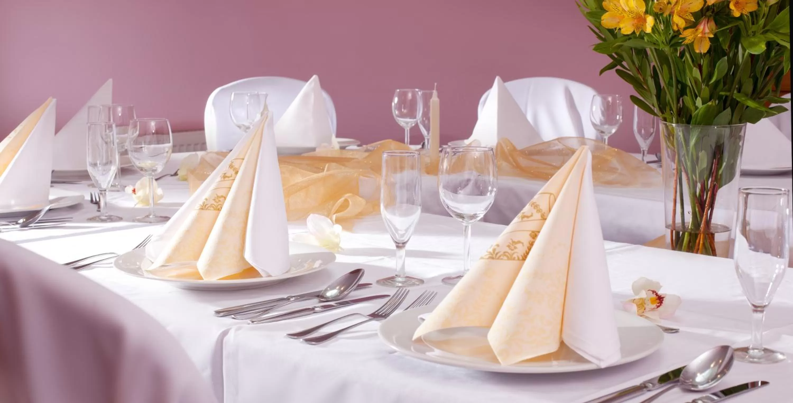 Day in Hotel Concertino Zlatá Husa