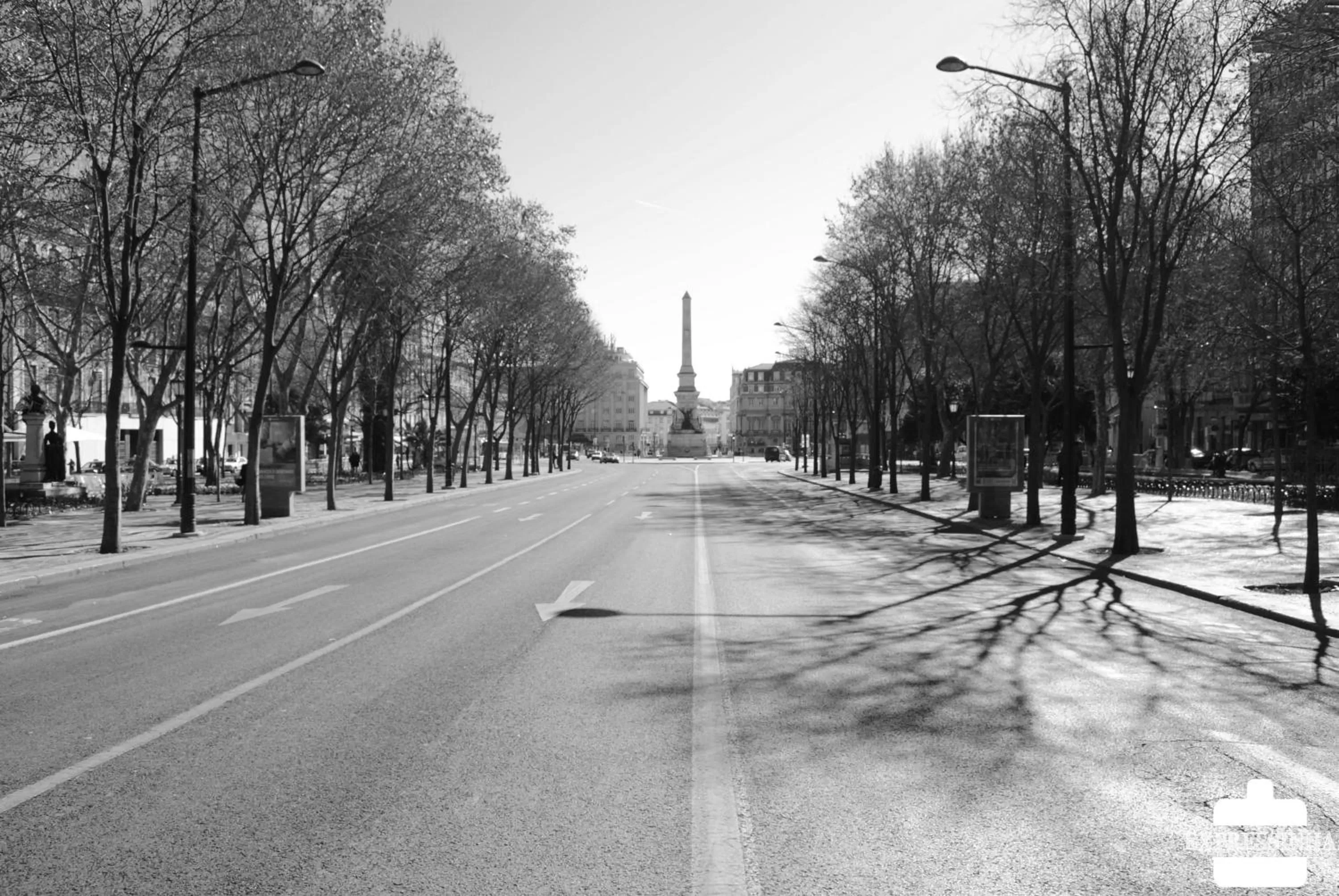 Area and facilities in Hotel Dom Sancho I