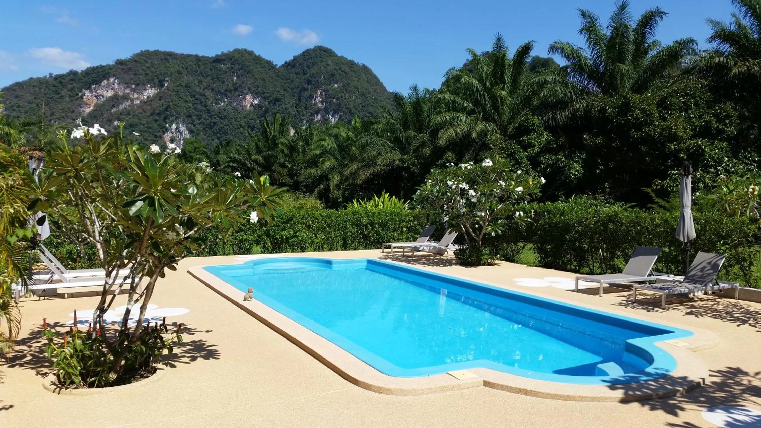 Swimming pool in Khao Sok Jasmine Garden Resort - SHA Certified