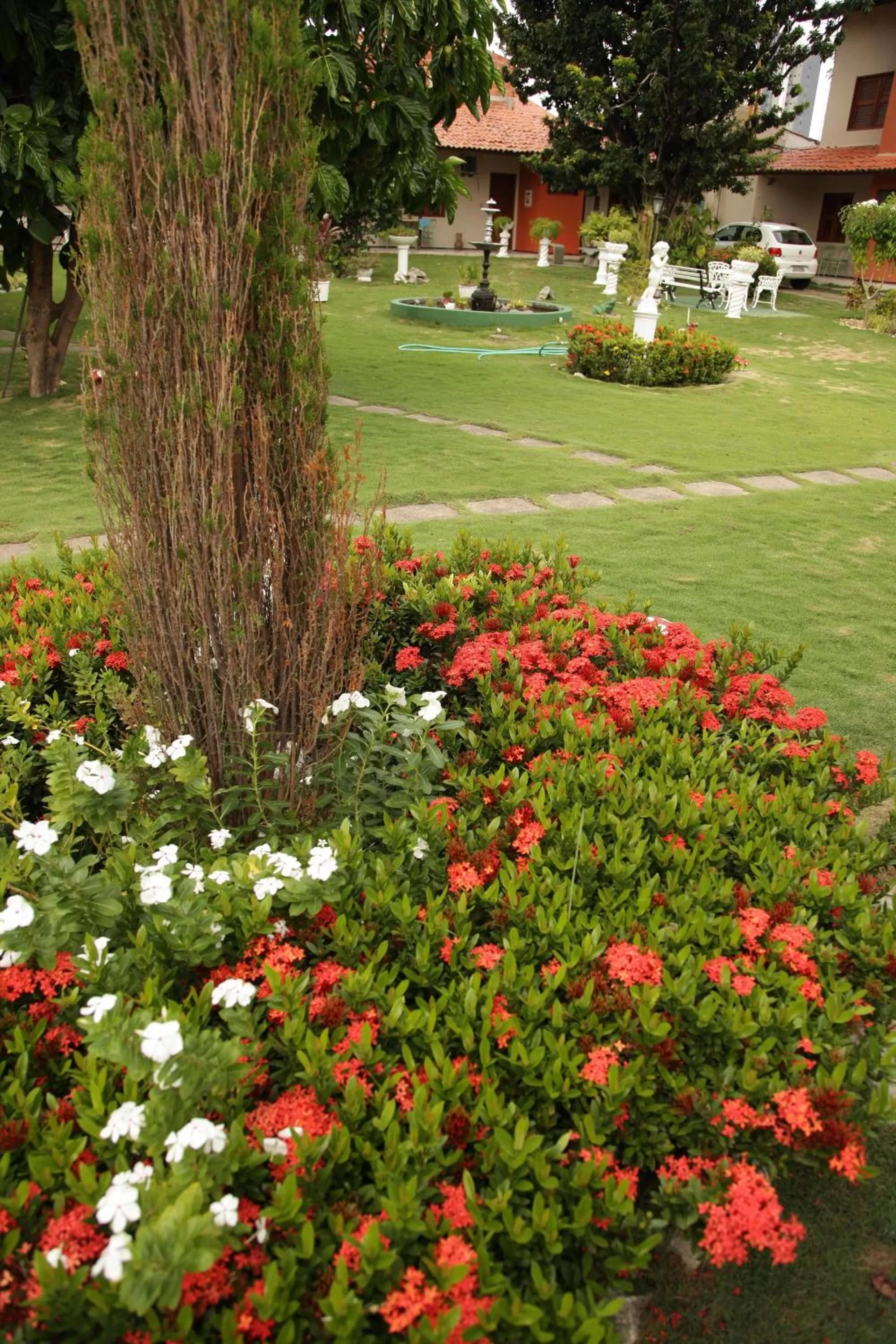 Garden in Hotel Jardim