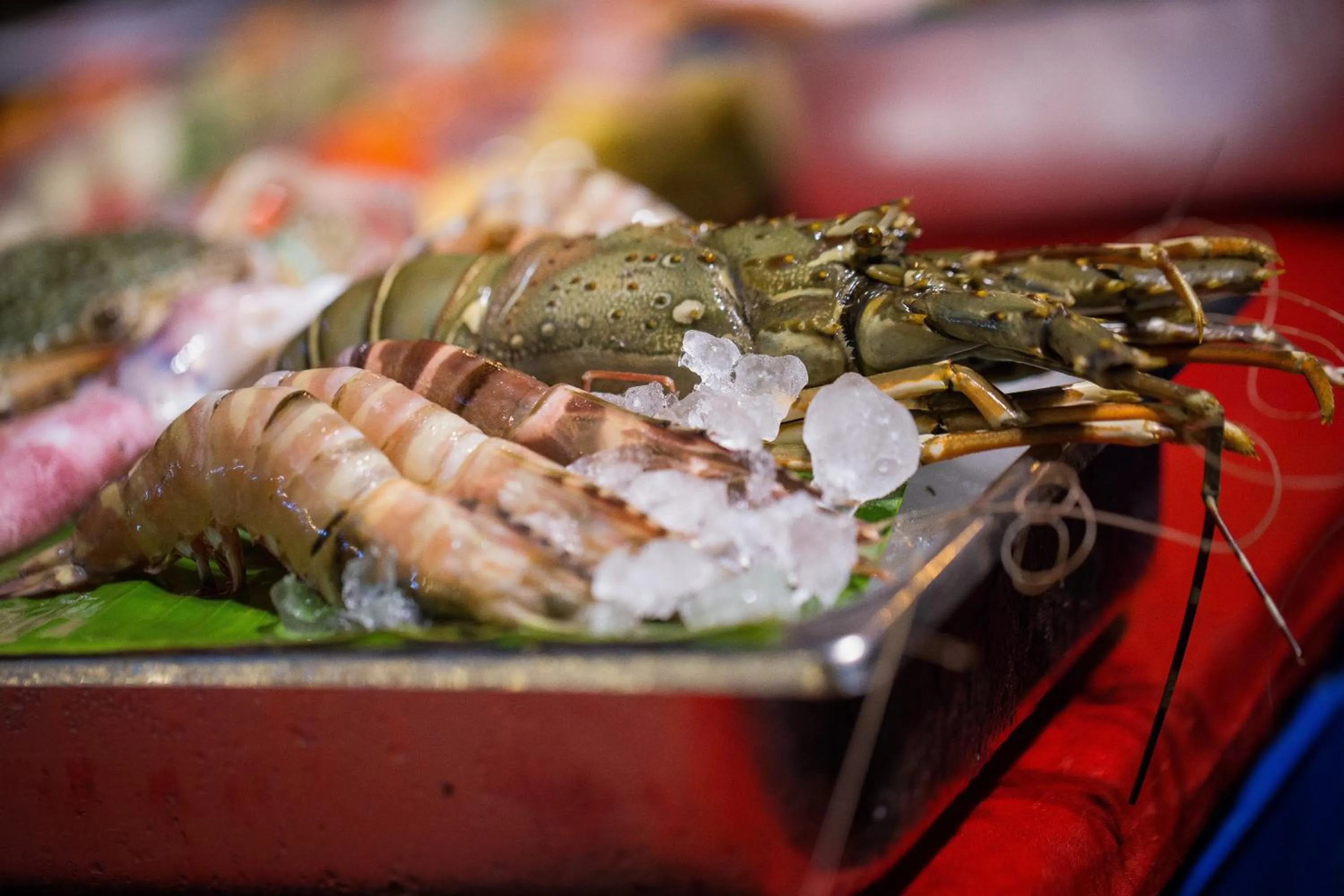 Restaurant/places to eat in Kata Poolside Resort SHA Extra Plus