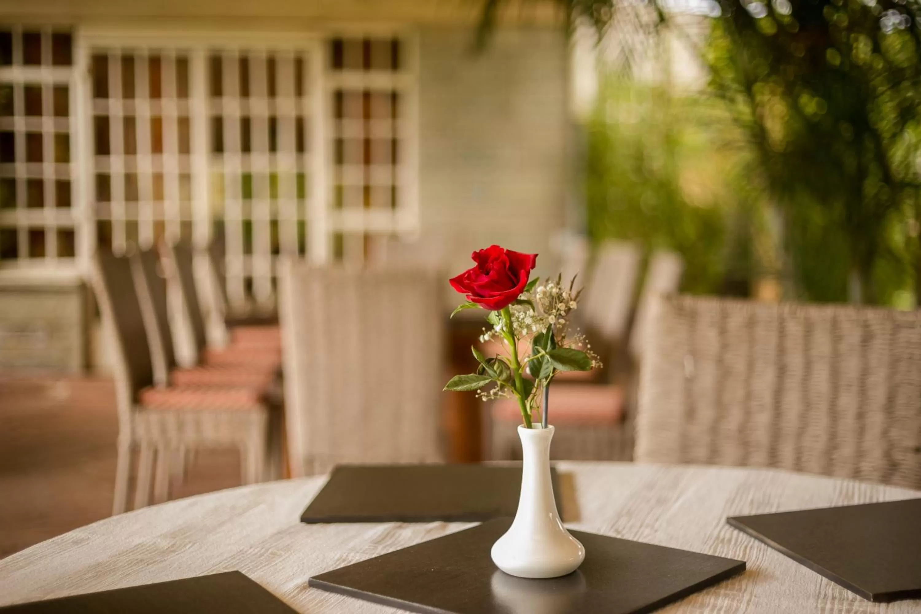 Restaurant/places to eat in Hotel Rudi