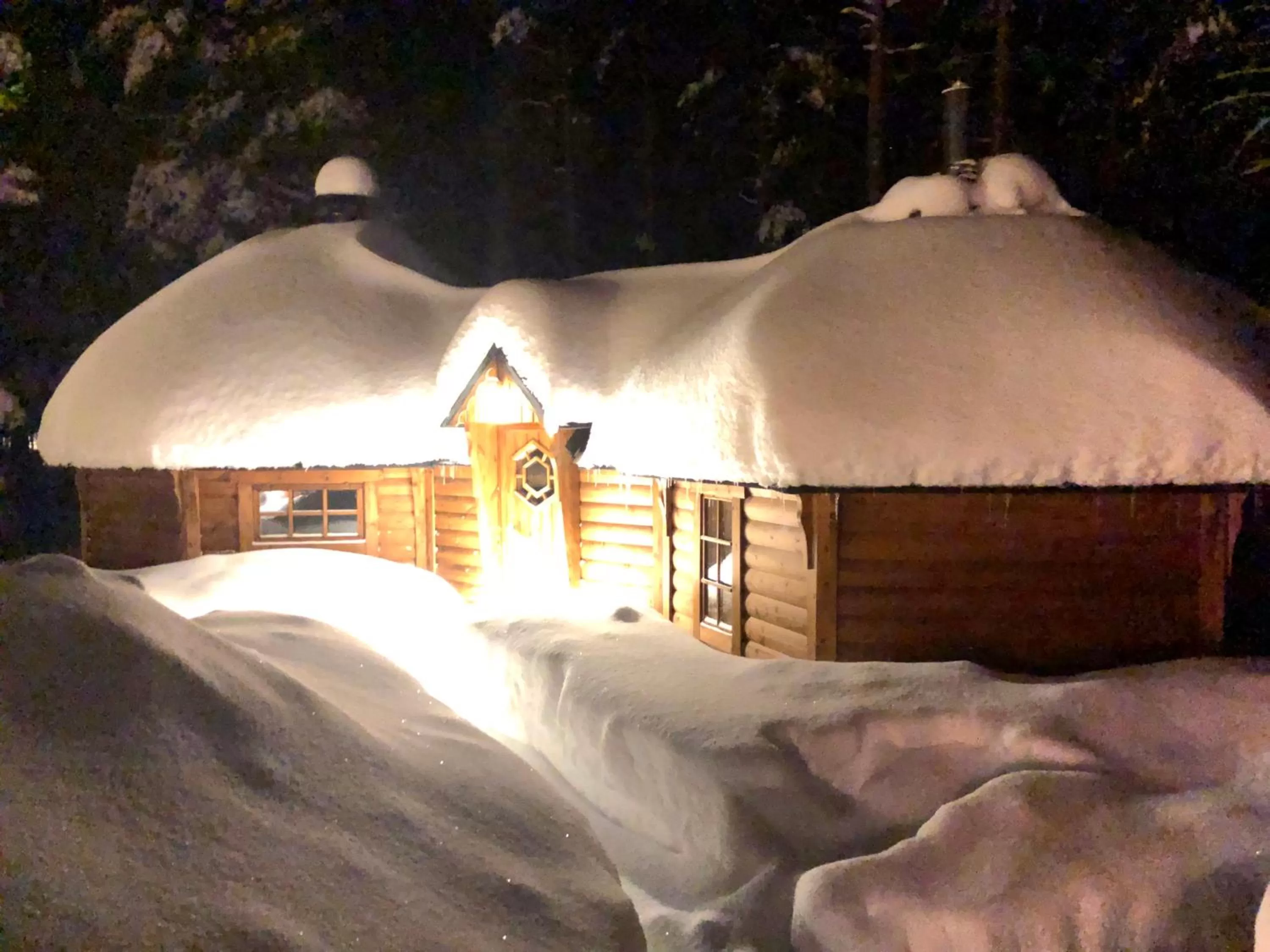 Winter in Hedenstugan B&B Hotel