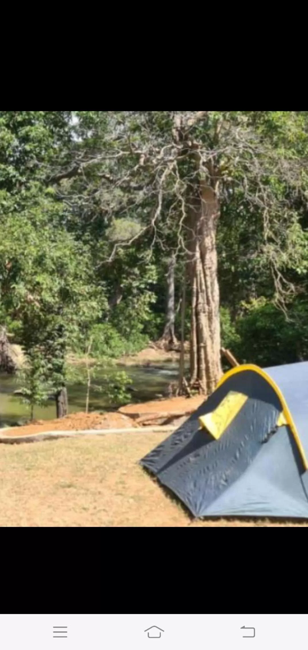 Jungle river humbhaha hostel