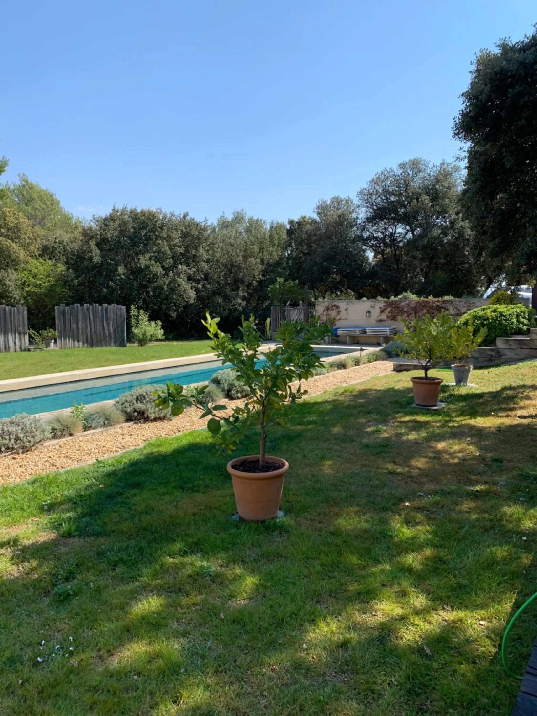 Garden, Swimming Pool in La bergerie de Nano