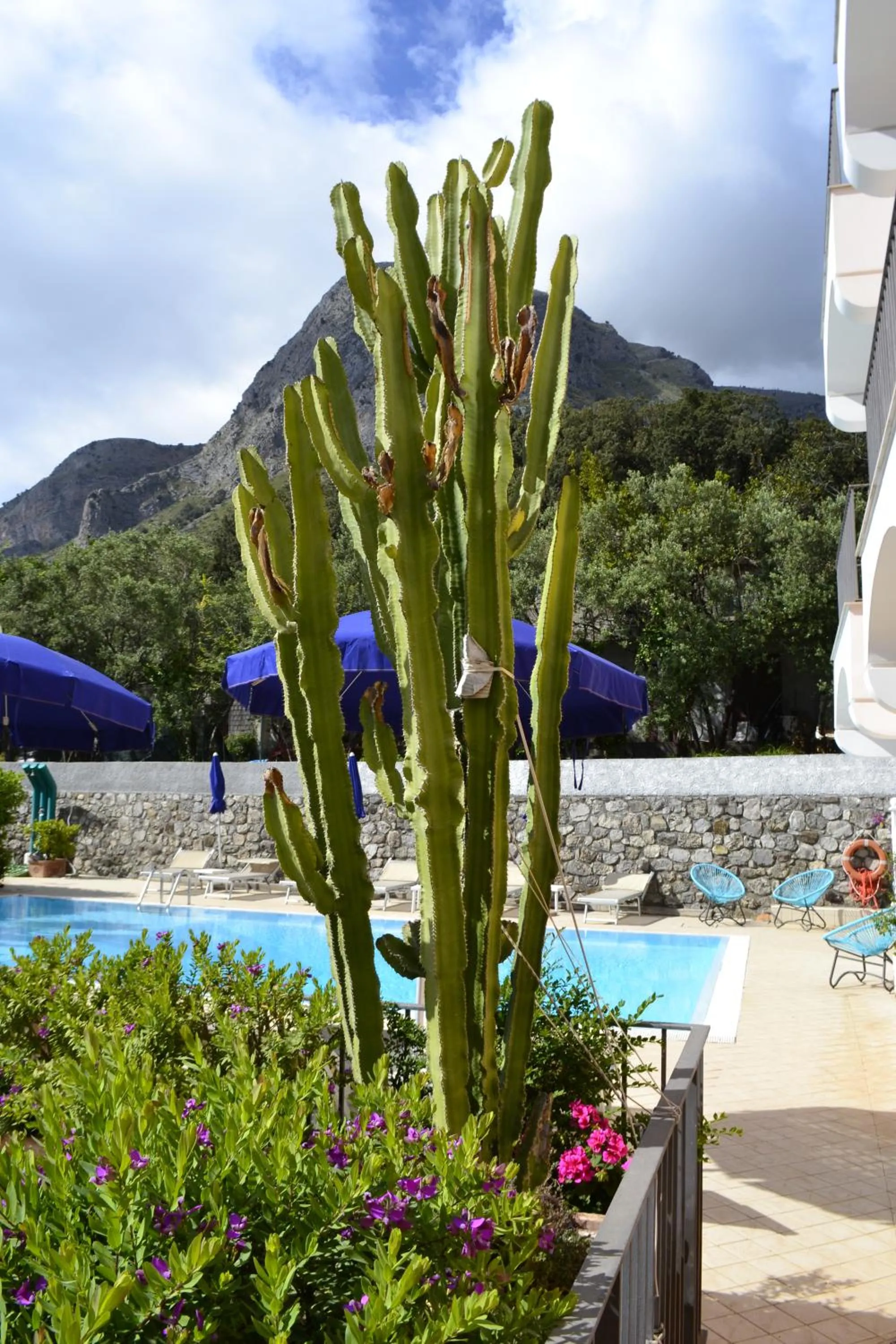 Pool view in Hotel Murmann