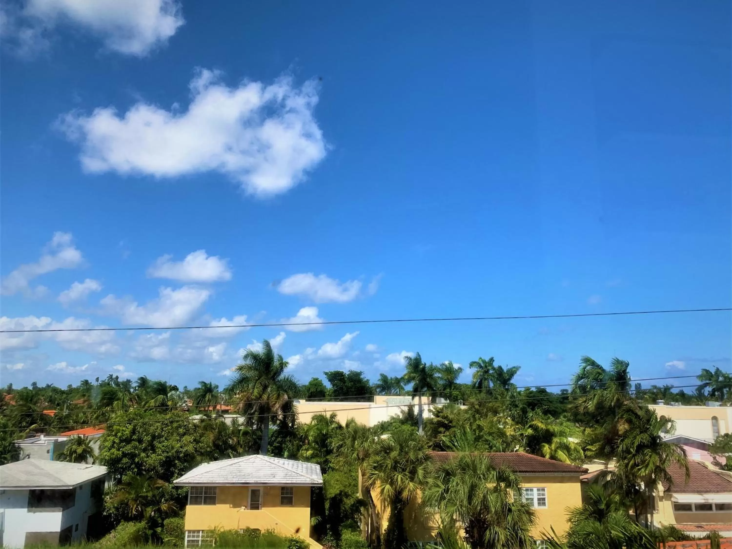 View (from property/room) in Tropicals of Palm Beach