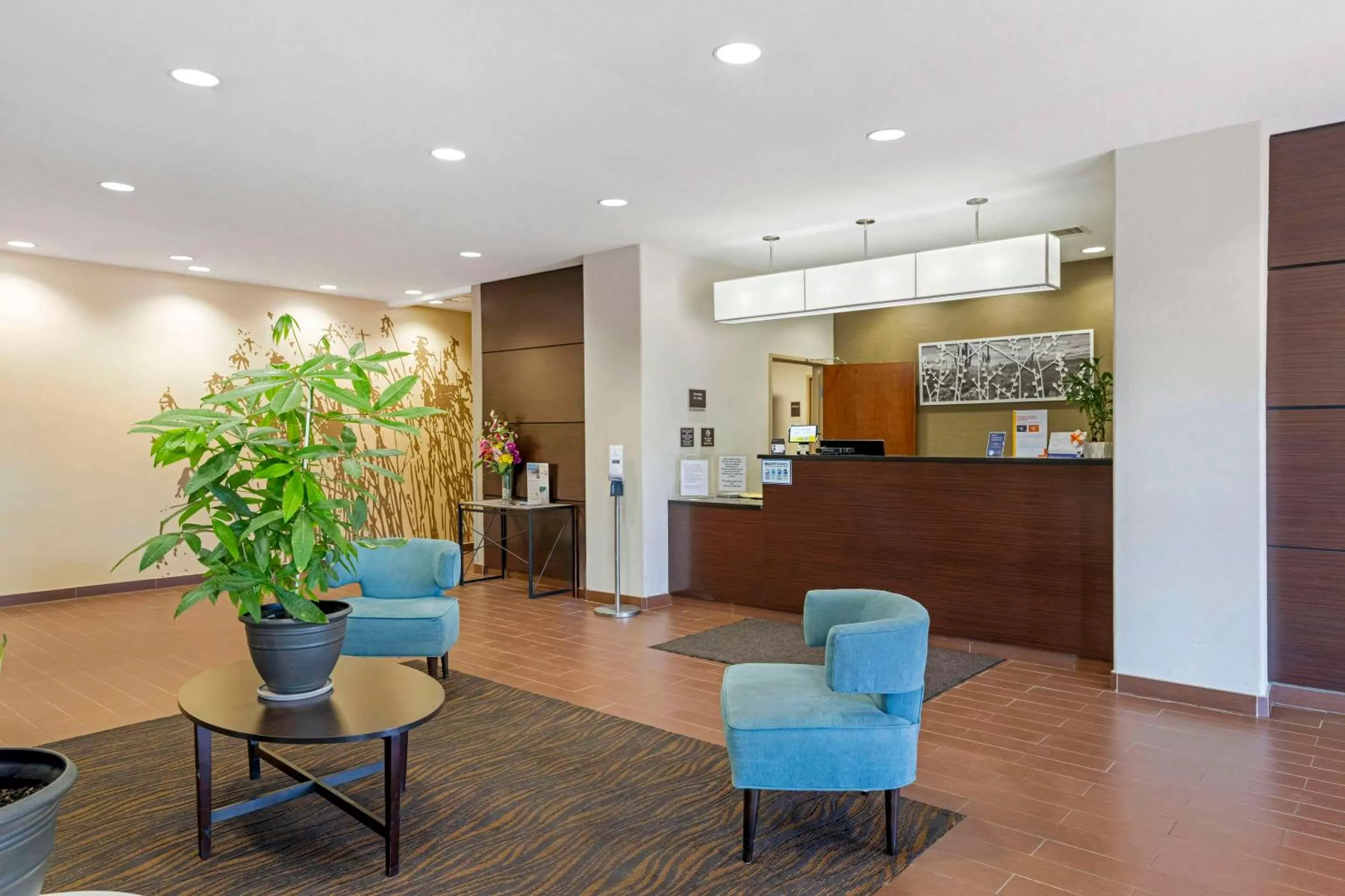 Lobby or reception in Sleep Inn & Suites Carlsbad Caverns Area