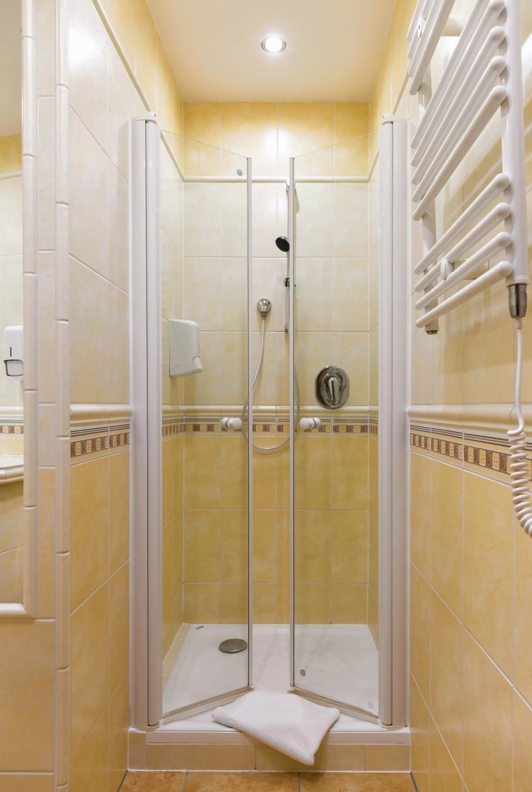 Shower in Hotel Roudna