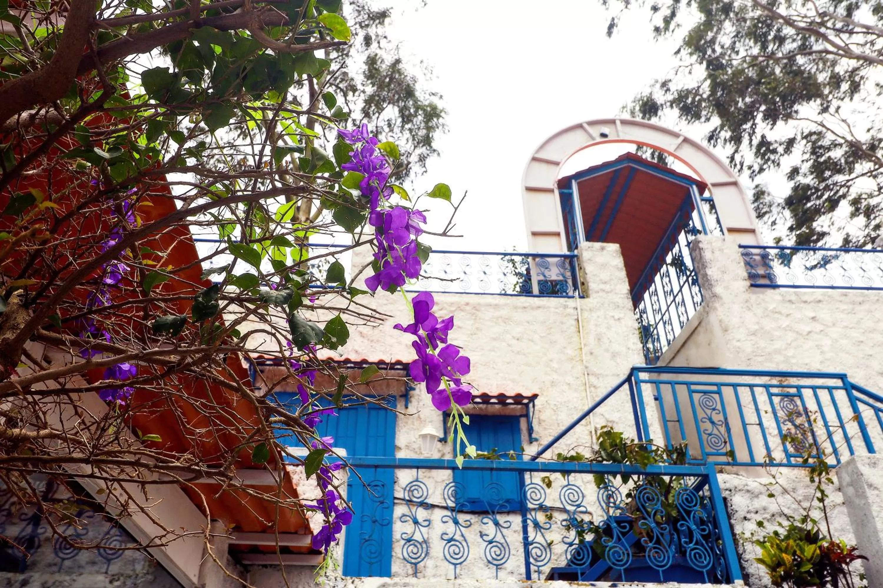 Garden, Pool View in Hotel Greek Glory