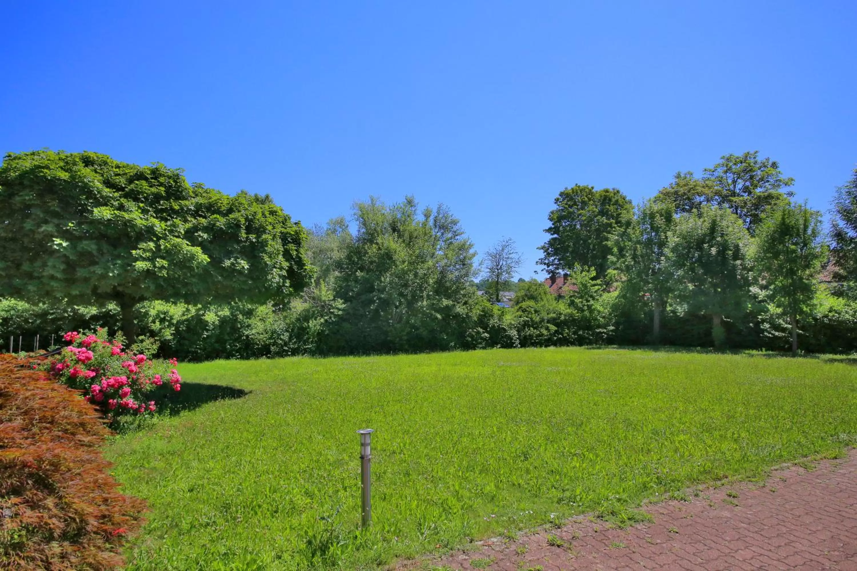 Garden in Hotel Kick