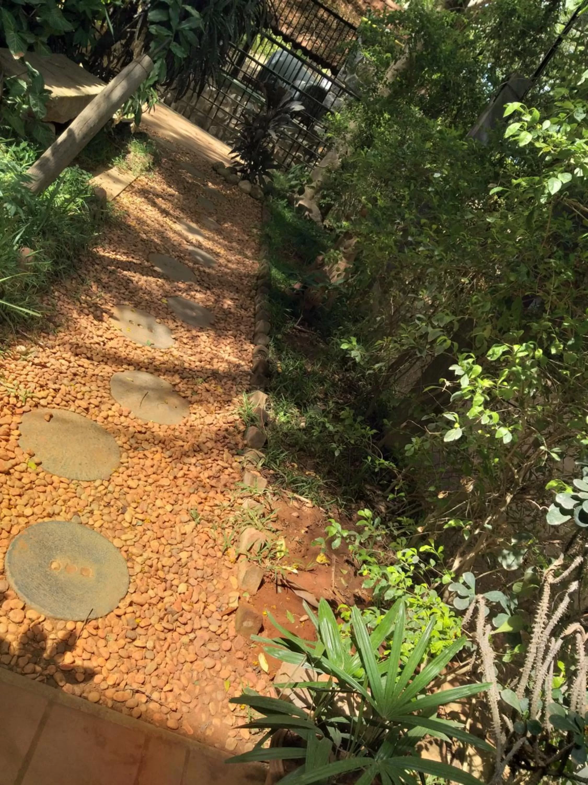 Garden view in Green's Guest House